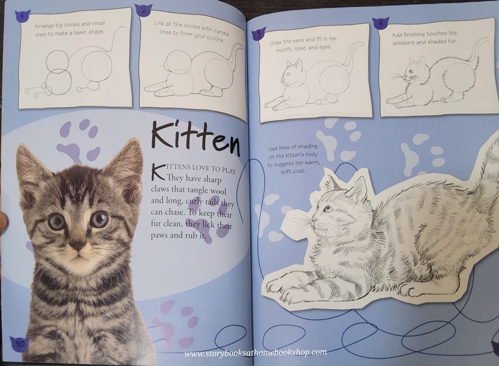 หนังสือนิทานปกอ่อน** 🍓🍓 I CAN DRAW ANIMALS