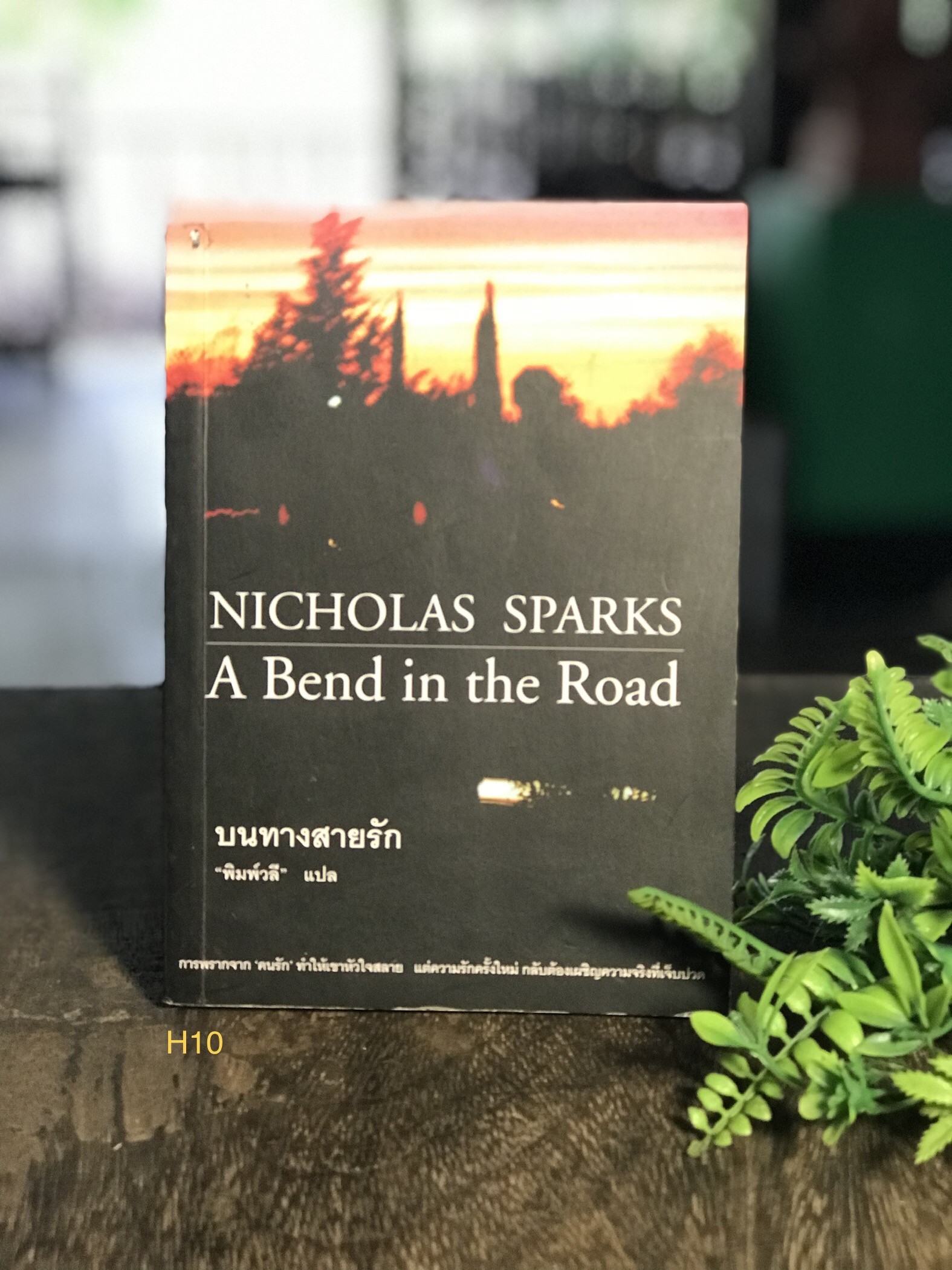บนทางสายรัก ผู้เขียน Nicholas Sparks ผู้แปล พิมพ์วลี สำนักพิมพ์มติชน