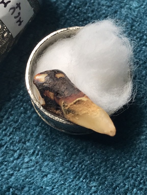 พระทันตธาตุ ครูบาอินก๋วน วัดสอบป๊าด จ.ลำปาง ได้มาจากพ่ออุดม ปัจจุบันอายุ 68 ปี ยังมีชีวิตอยู่ (บันทึก พ.ศ.2567) มีอาชีพขายอุปกรณ์ไฟฟ้าใน อ.เมือง จ,ลำปาง พ่ออุดมเคยรับใช้ครูบาอินก๋วน ระหว่างปี 2549-2557 พระทันตธาตุองค์นี้พ่ออุดมได้รับมาเมื่อ ปี 2554