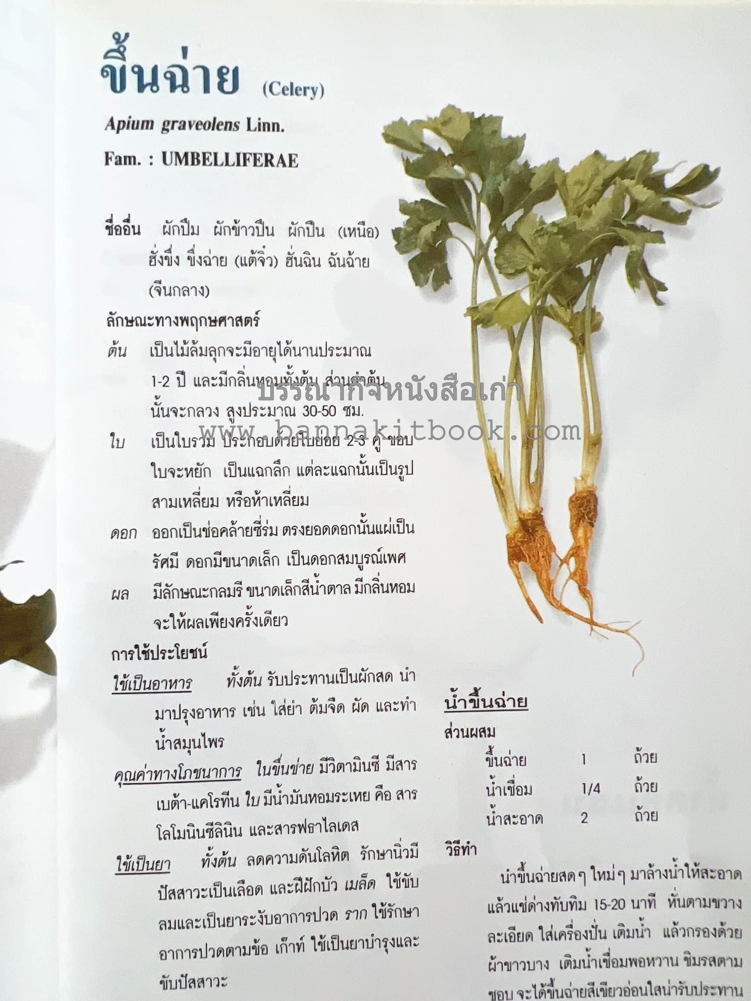 น้ำสมุนไพร 108 สูตร-วิธีทำจากผักพื้นบ้านและผลไม้ไทย โดย สถาบันการแพทย์แผนไทย.