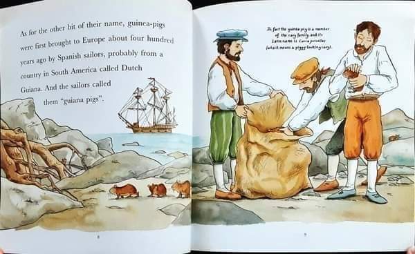 หนังสือนิทานปกอ่อน ** 🍅🍓I Love Guinea-Pigs by Dick King-Smith