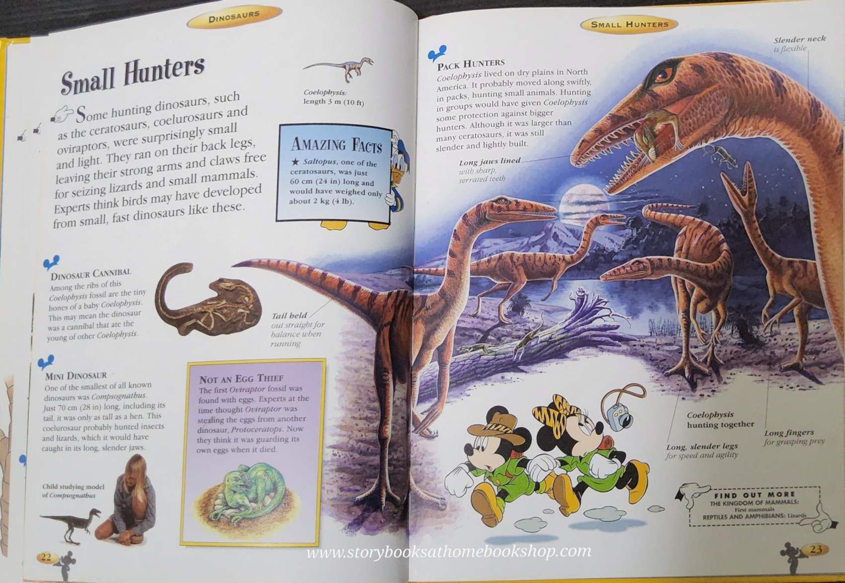 KNOWLEDGE BOOK** ♥️DISNEY THE WONDERFUL WORLD OF KNOWLEDGE: DINOSAURS