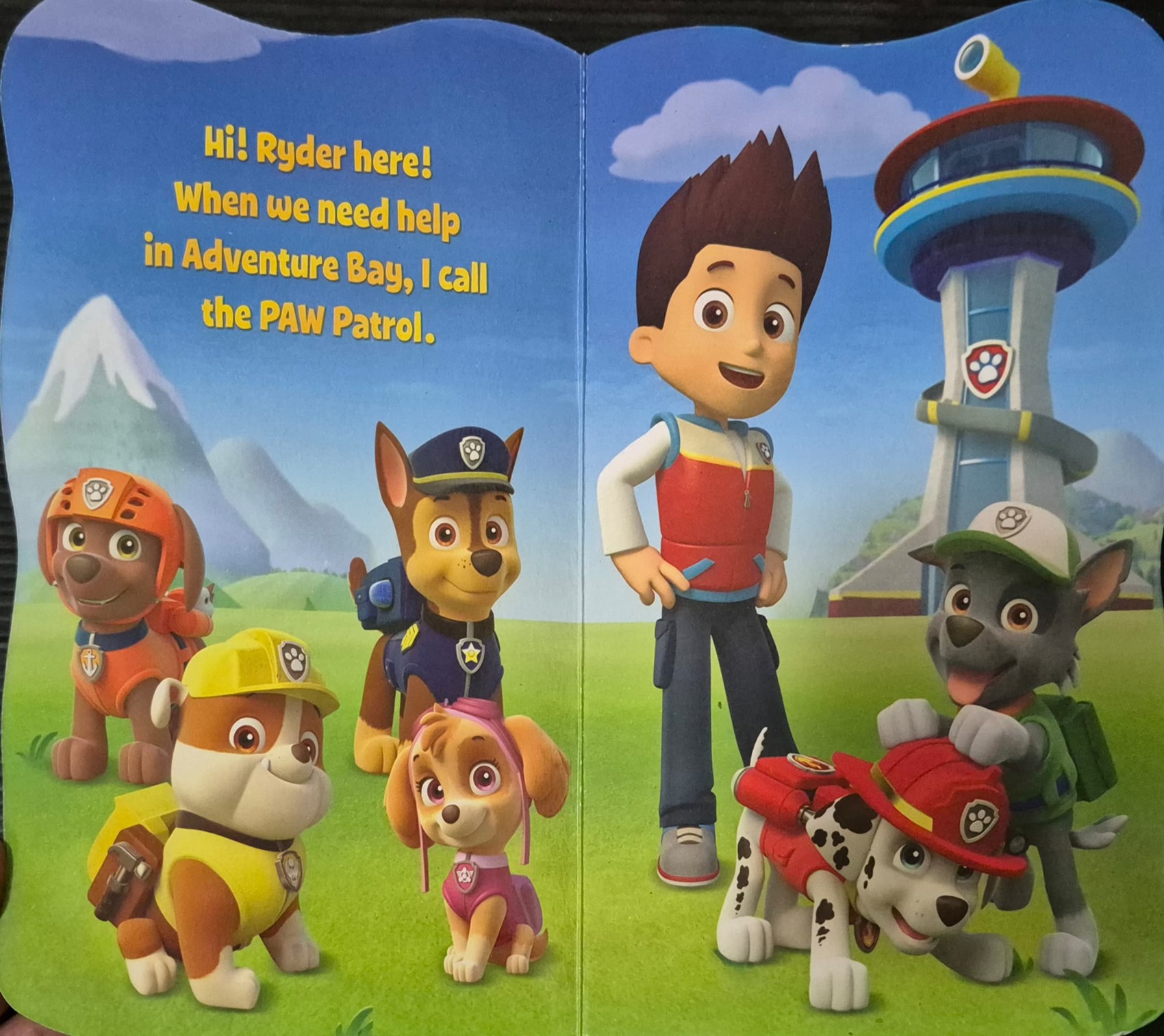 BOARD BOOK** 🍅🍓PAW PATROL:HERE TO HELP