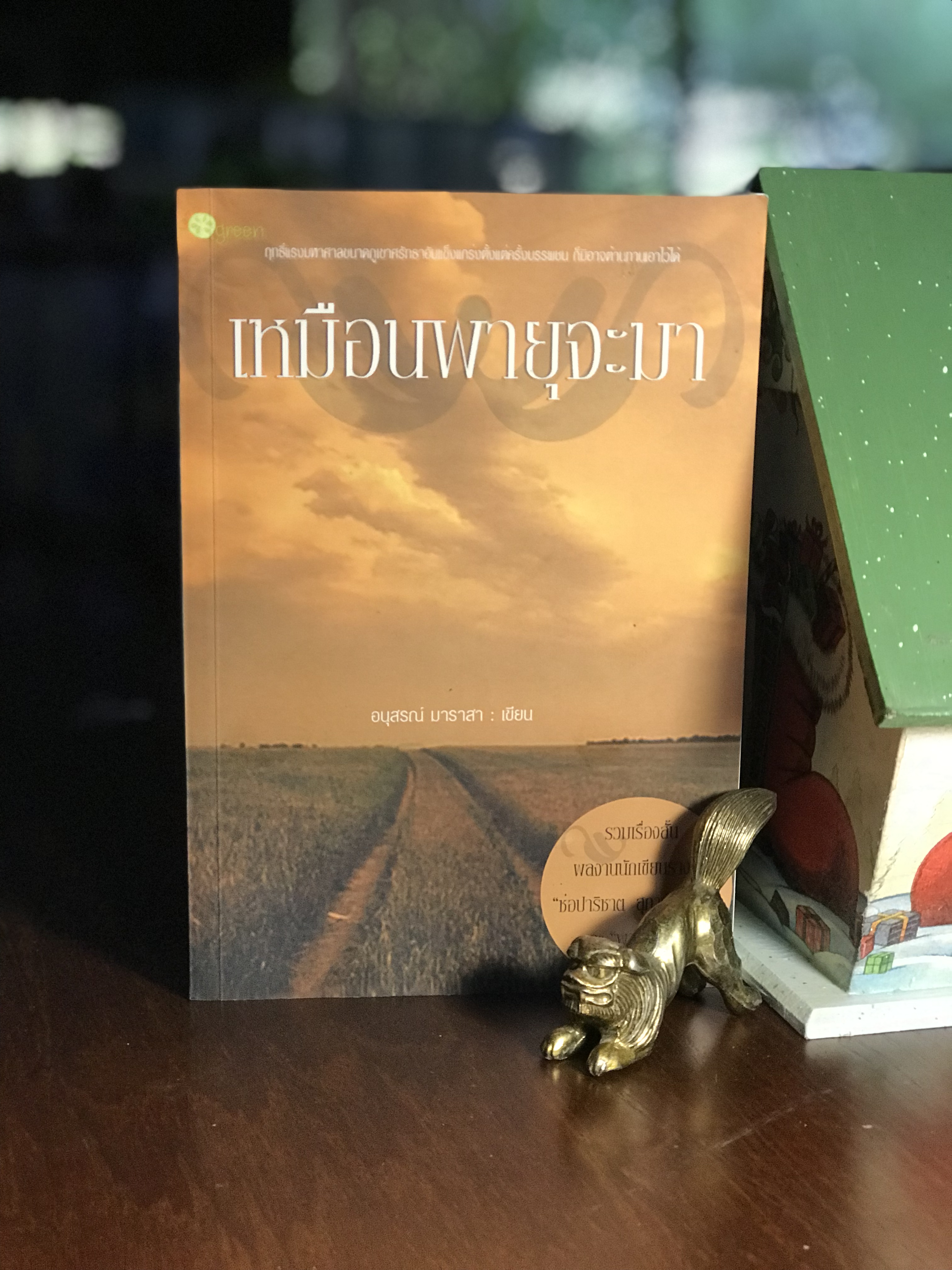 เหมือนพายุจะมา ผู้เขียน อนุสรณ์ มาราสา สำนักพิมพ์เลมอน กรีน