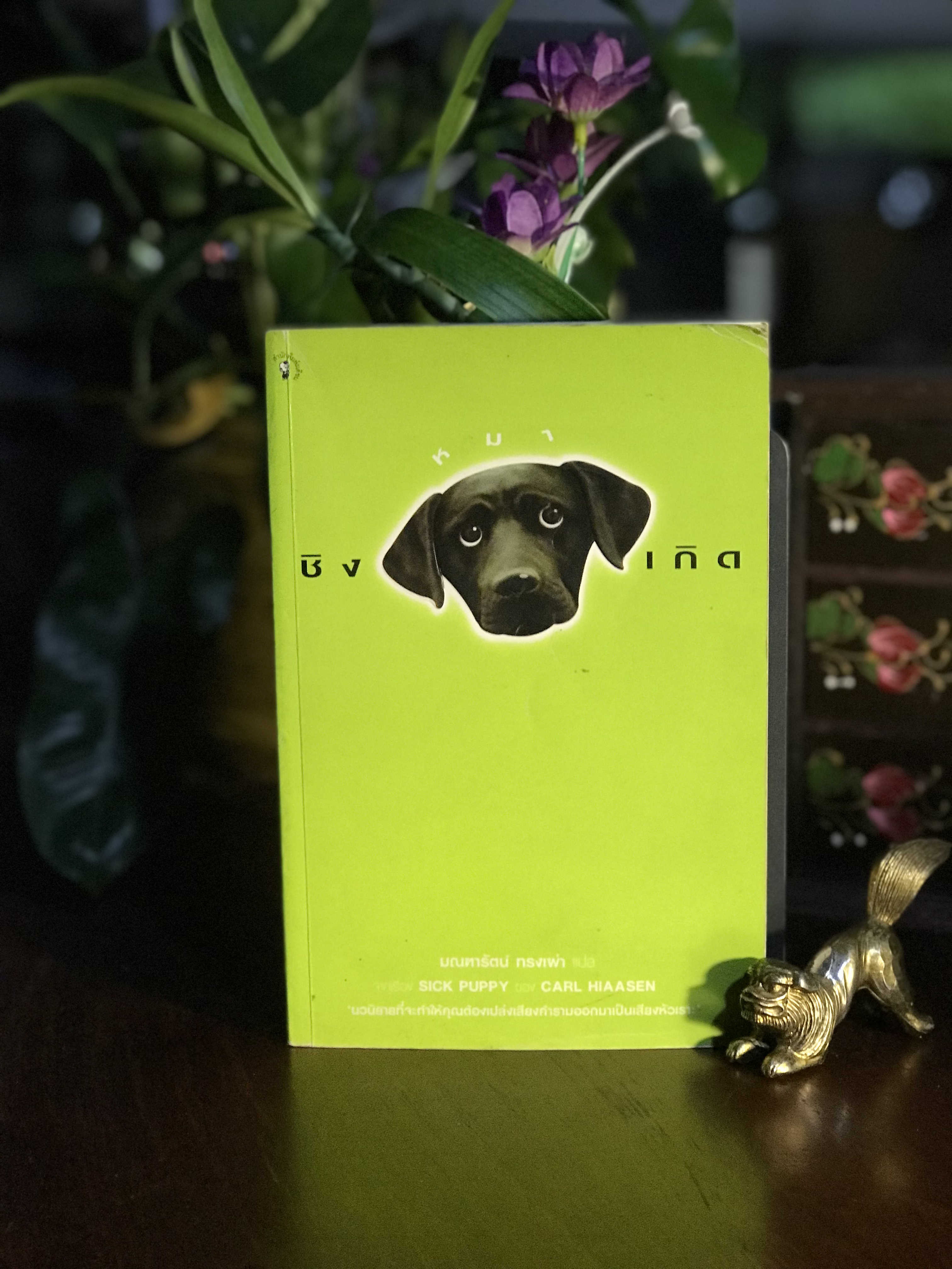 ชิงหมาเกิด (Sick Puppy) ผู้เขียน: Carl Hiaasen ผู้แปล: มณฑารัตน์ ทรงเผ่า สำนักพิมพ์มติชน | RTB1