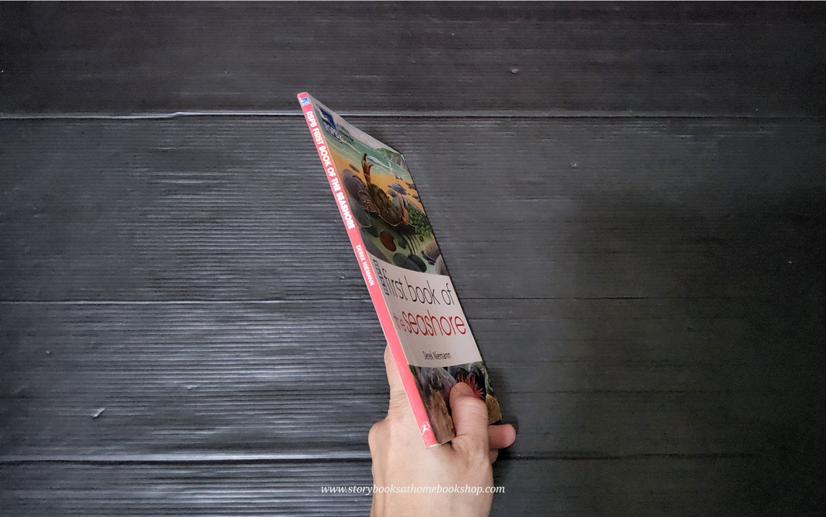 KNOWLEDGE BOOK** ♥️RSPB FIRST BOOK OF THE SEASHORE