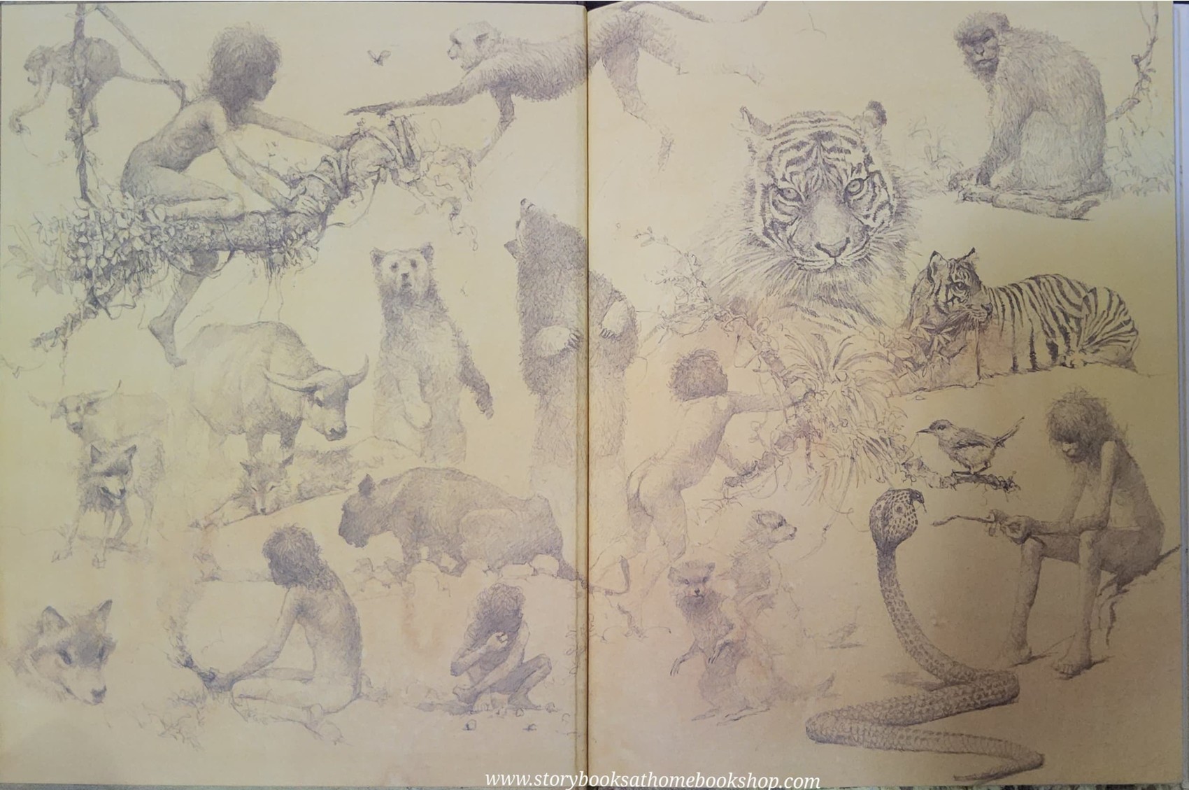 หนังสือนิทานปกแข็ง** ♥️♥️THE JUNGLE BOOK MOWGLI'S STORY