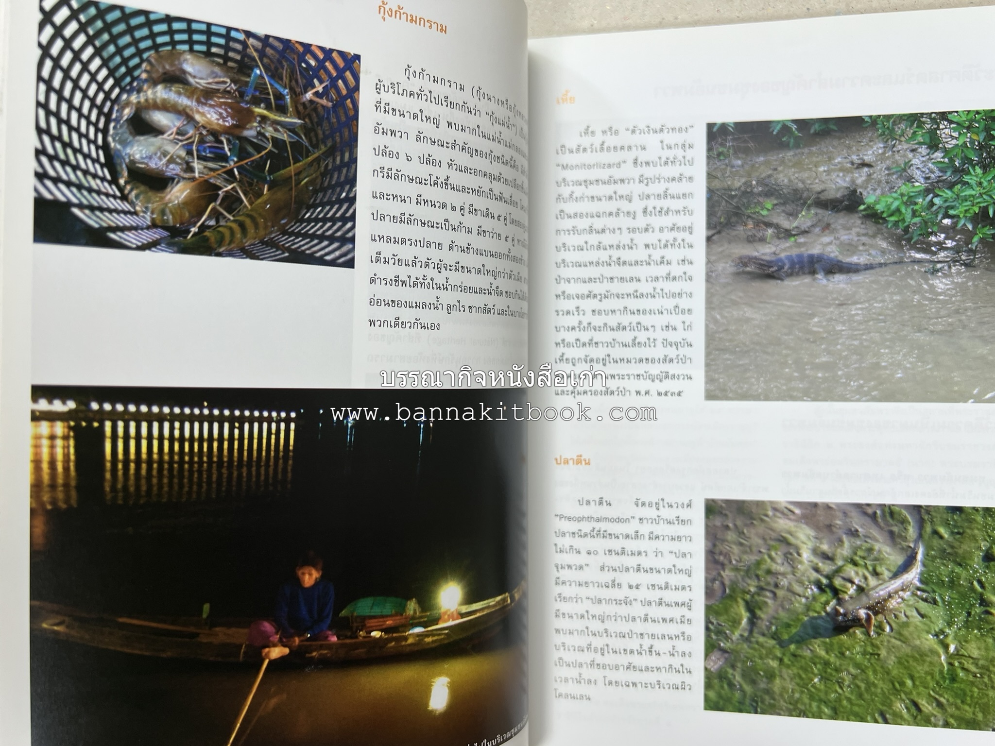 เที่ยวชุมชนอัมพวา โดย : รศ.ดร.วรรณศิลป์ พีรพันธ์ คณะสถาปัตยกรรม จุฬาลงกรณ์มหาวิทยาลัย.