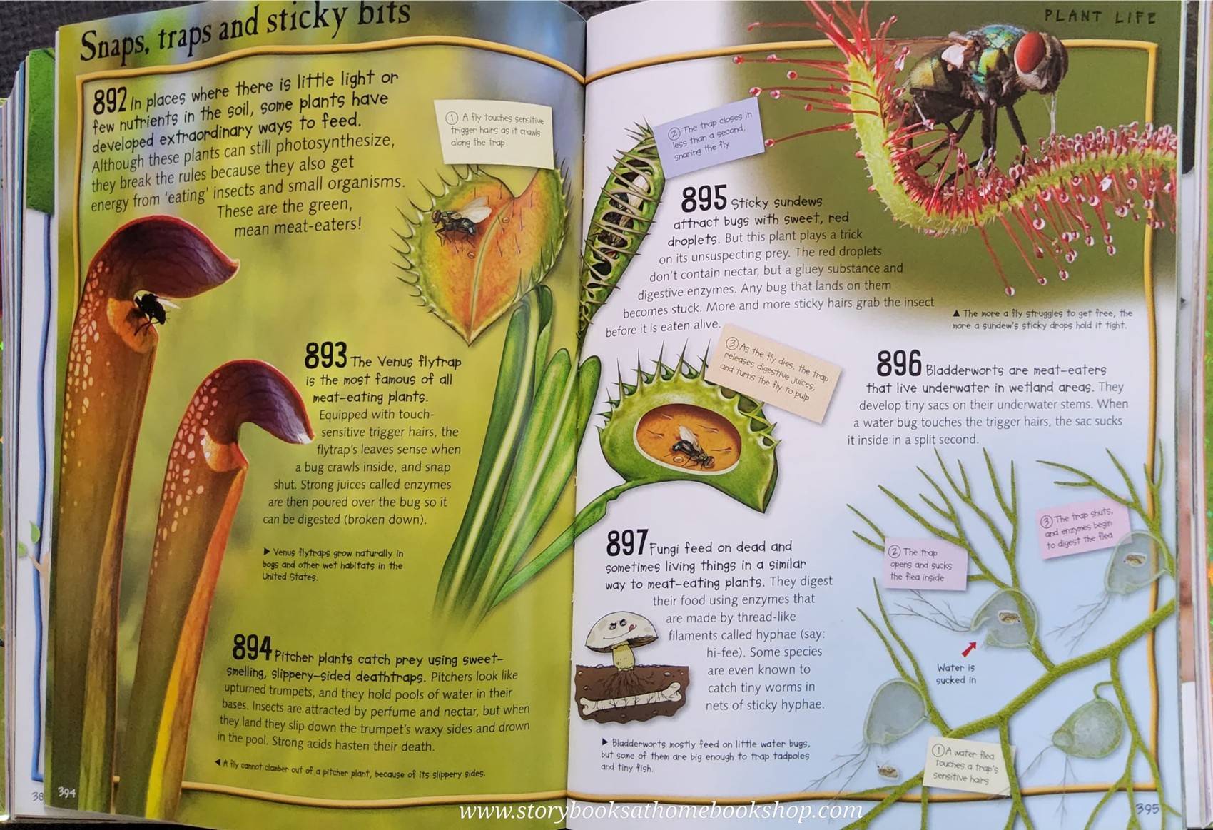 KNOWLEDGE BOOK** ♥️OVER 1000 SCIENCE FACTS