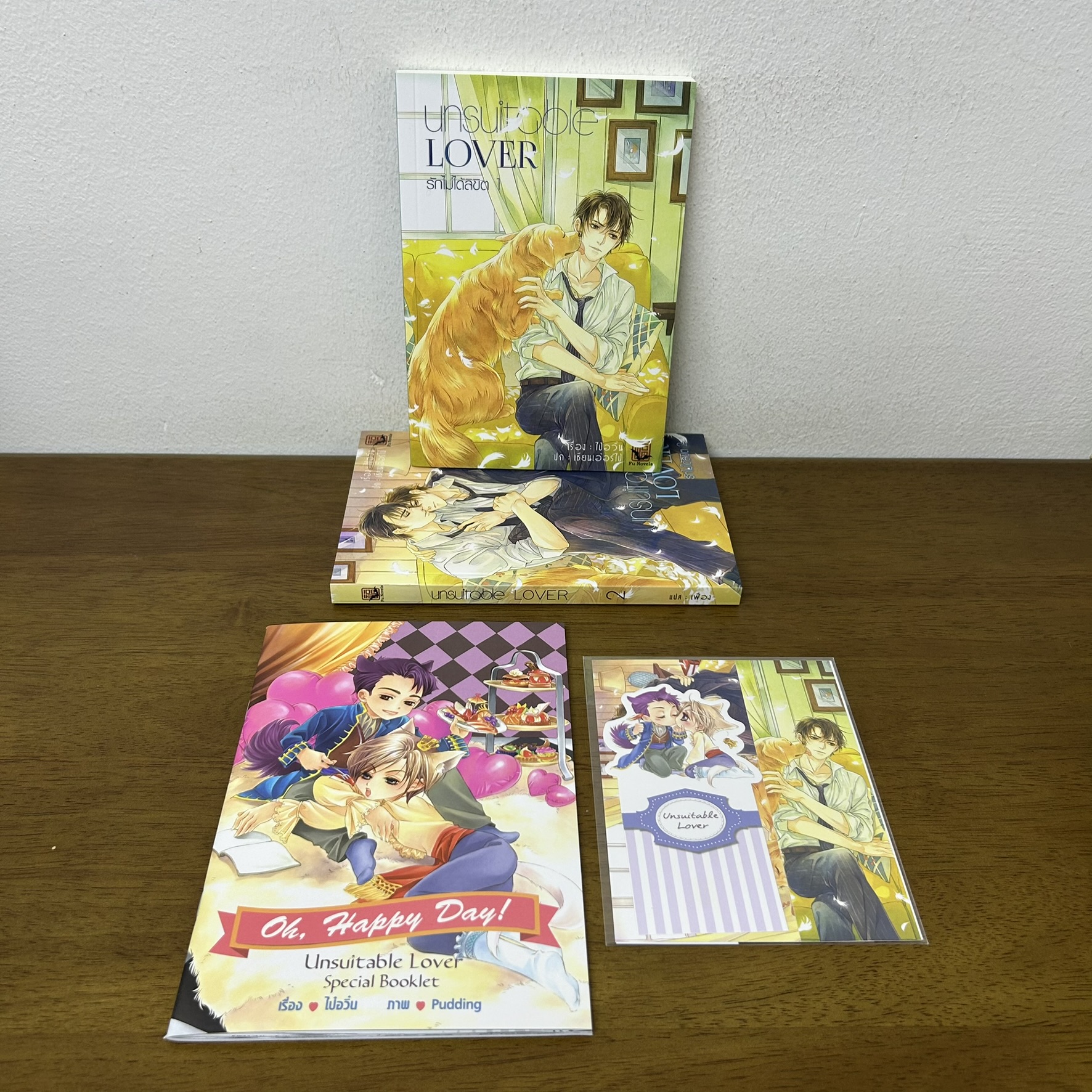 [YAOI] Unsuitable Lover รักไม่ได้ลิขิต by ไป๋อวิ๋น 1-2 จบ+เล่มพิเศษ ... เฟื่อง (มือสอง) นิยายวาย วายแปล