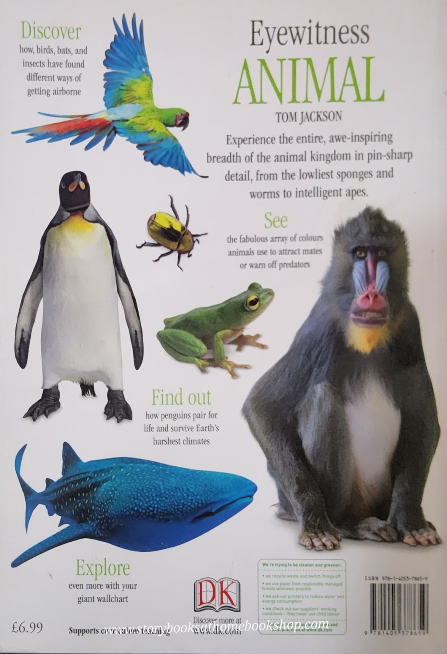 Knowledge Book** 🍅🍓DK Eyewitness ANIMAL