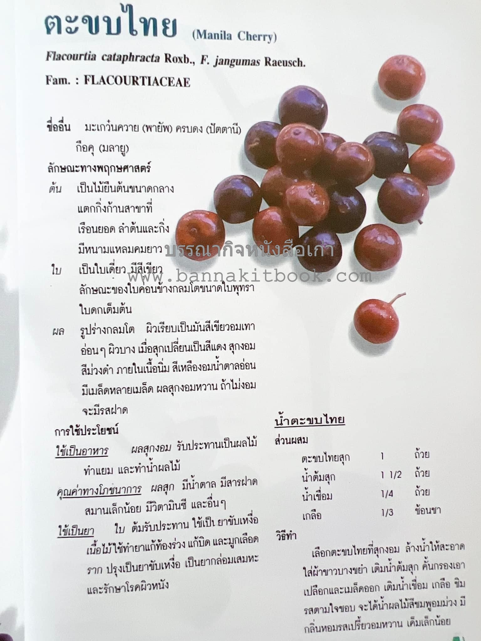 น้ำสมุนไพร 108 สูตร-วิธีทำจากผักพื้นบ้านและผลไม้ไทย โดย สถาบันการแพทย์แผนไทย.