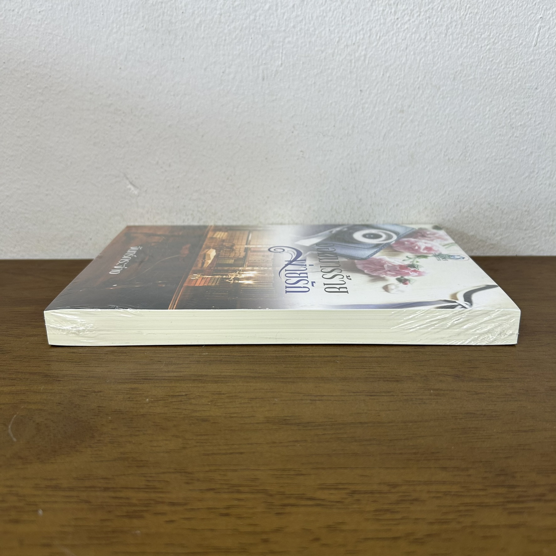 จอมมารร้ายพ่ายรัก ... จันทร์กระจ่าง (มือหนึ่งซีล) นิยาย โรมานซ์ พลอยวรรณกรรม