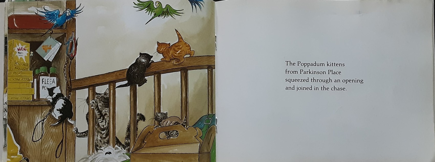 หนังสือนิทานปกอ่อน 🍅🍓Hairy Maclary's Rumpus at the VET by Lynley Dodd