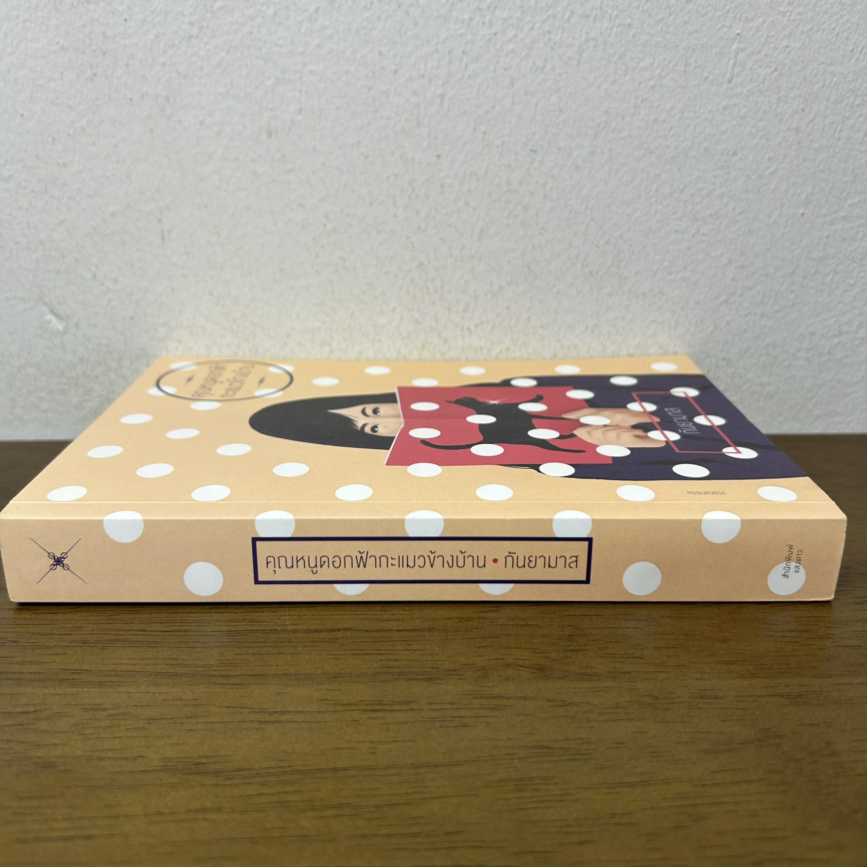 คุณหนูดอกฟ้ากะแมวข้างบ้าน ... กันยามาส (มือสอง) นิยาย โรแมนติก แสงดาว