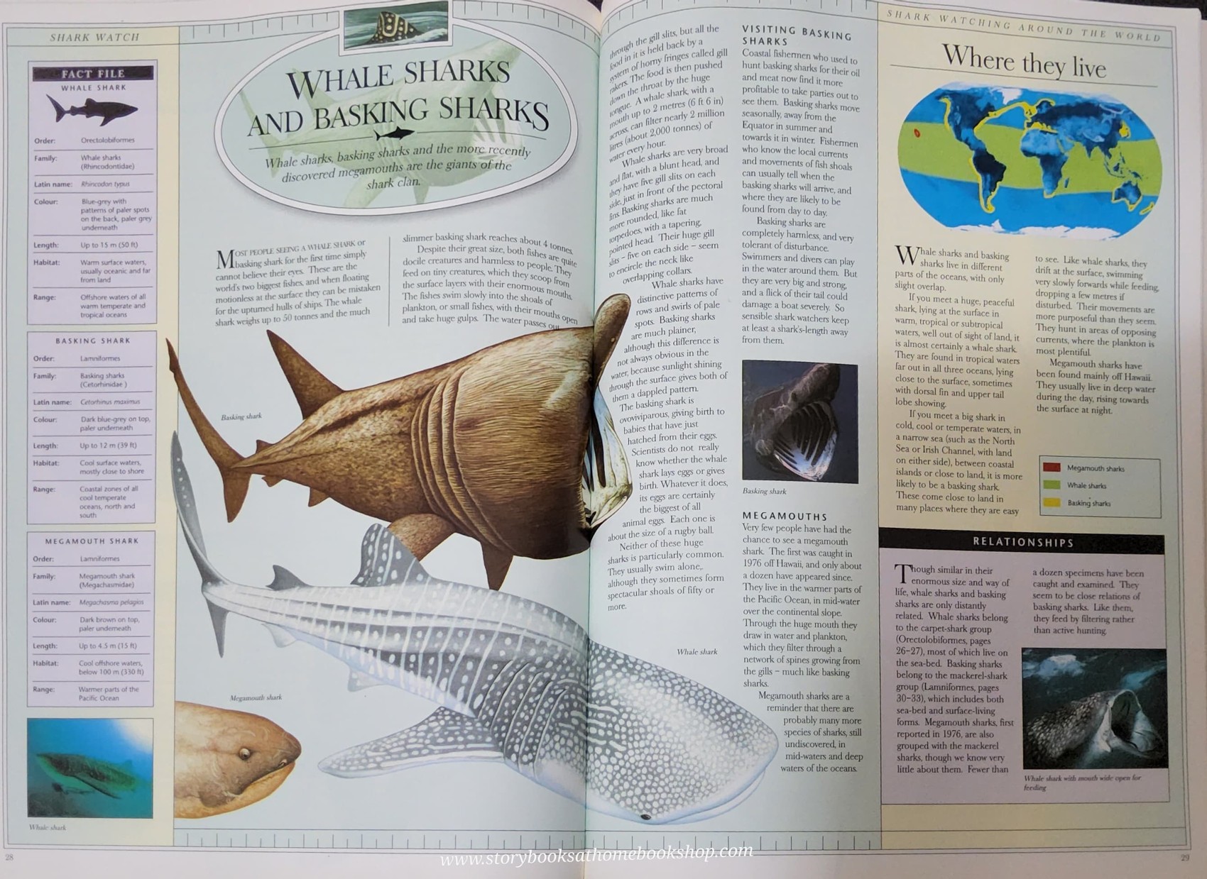 KNOWLEDGE BOOK** ð
ðANIMAL WATCH A VISUAL INTRODUCTION TO SHARKS SKATES AND RAYS