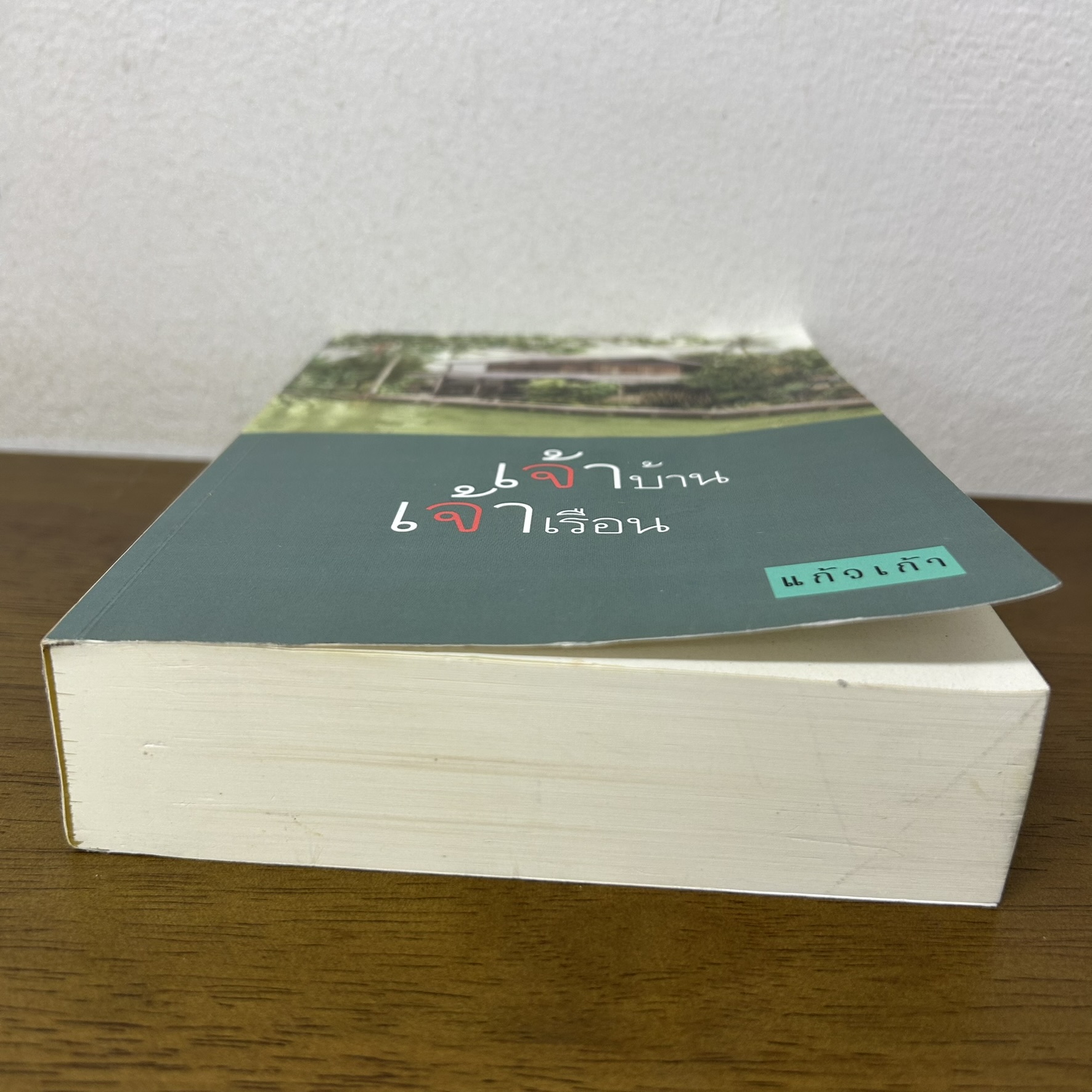 เจ้าบ้านเจ้าเรือน ... แก้วเก้า (มือสอง) นิยาย โรแมนติก ทรีบีส์ เพื่อนดี