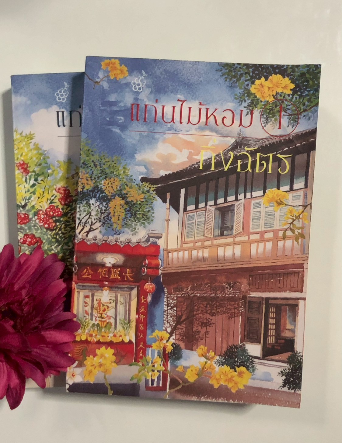 แก่นไม้หอม ผู้เขียน: กิ่งฉัตร สำนักพิมพ์: ลูกองุ่น PV1