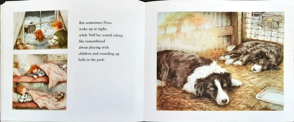 หนังสือนิทานปกอ่อน** 🍅🍅FLOSS BY KIM LEWIS