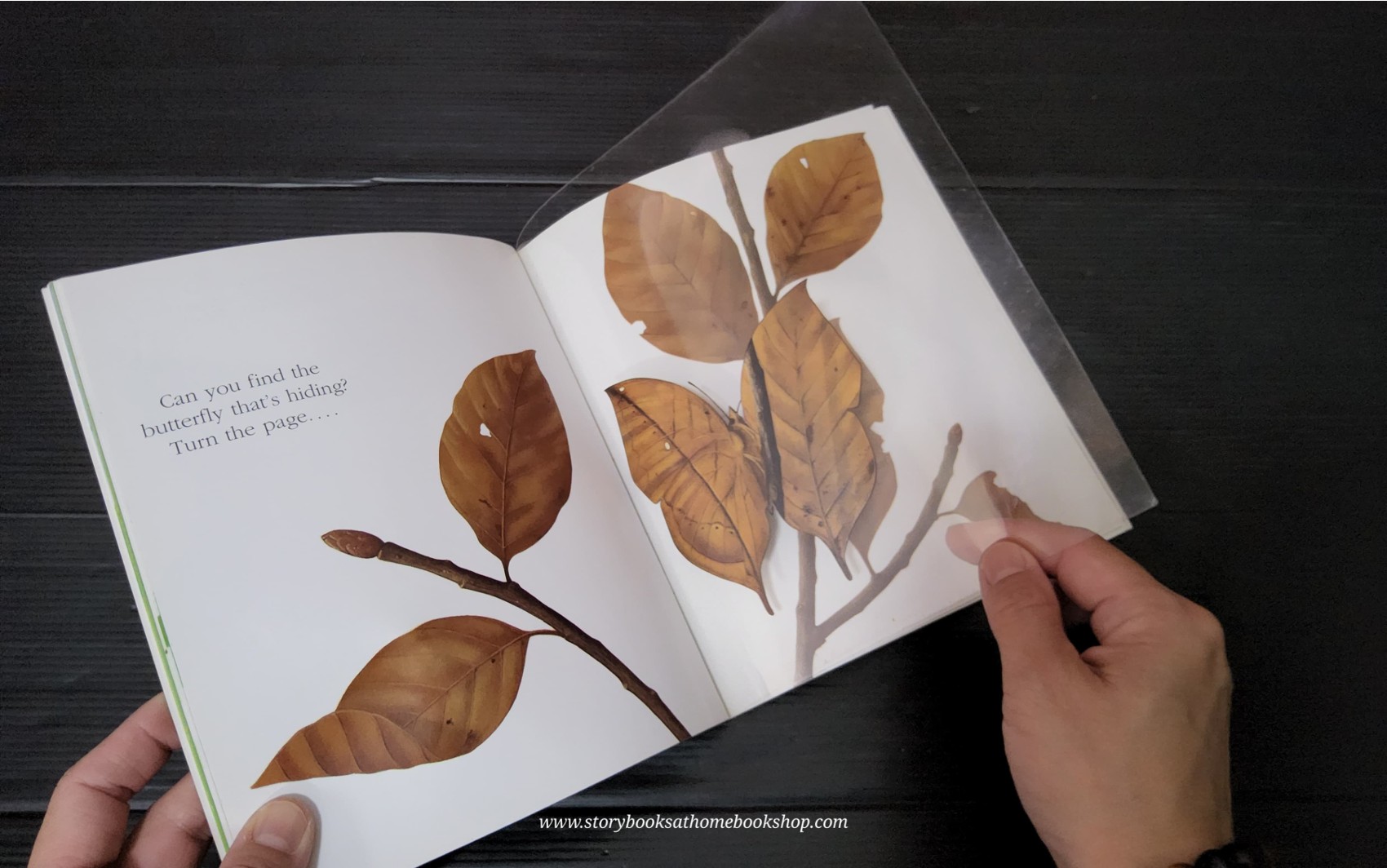 KNOWLEDGE BOOK WITH FEATURES TRANSPARENT PAGES** ð
ðBUTTERFLIES A FIRST DISCOVERY BOOK