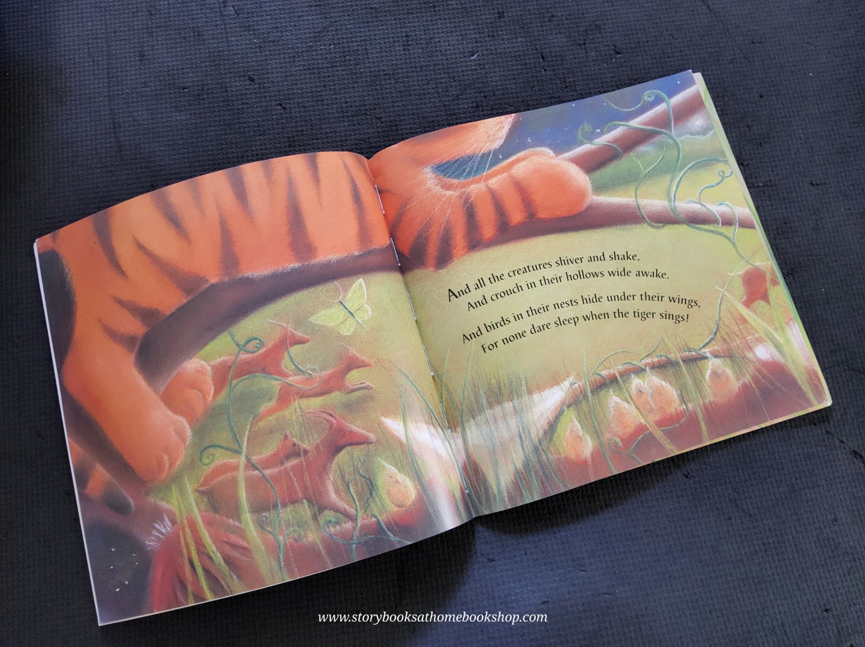 หนังสือนิทานปกอ่อน** 🍅🍓MIDNIGHT TIGER