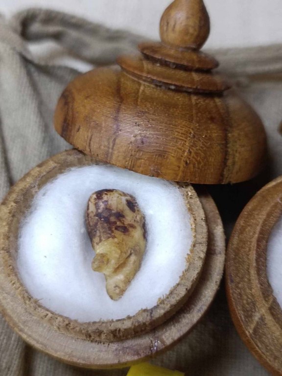 พระทันตธาตุครูบาเหมย วัดศรีดงเย็น อ.ไชยปราการ จ.เชียงใหม่ พระทันตธาตุองค์นี้ได้มาจากลุงวิทูรย์ อายุ 82 ปี อดีตเคยเป็นครูสอนโรงเรียนไชยปราการ คุณครูท่านเป็นลูกศิษย์ครูบาคำเหมย ตั้งแต่ปี 2525 ท่านได้รับจากมือครูบาเหมย เมื่อปี 2529