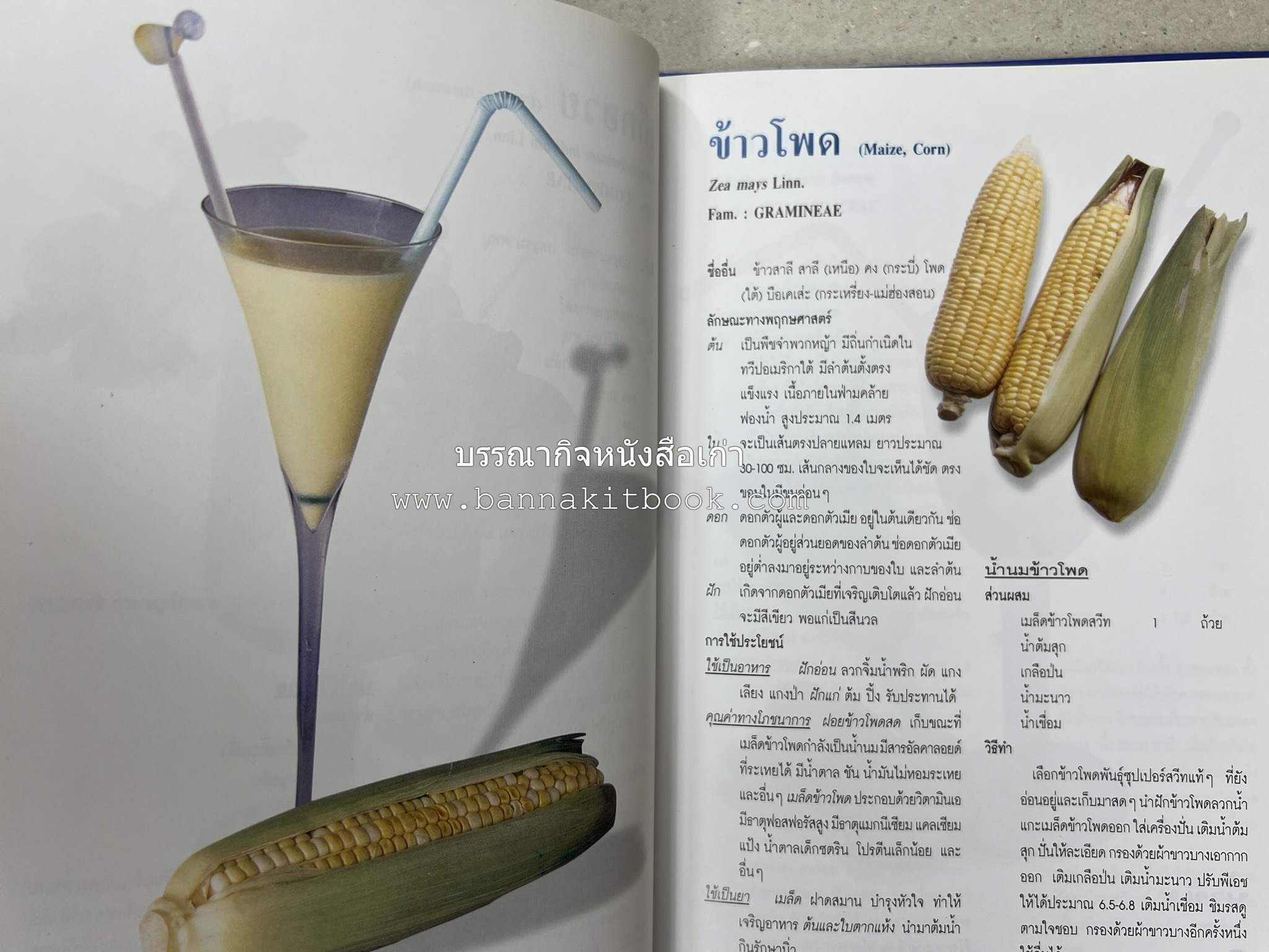 น้ำสมุนไพร 108 สูตร-วิธีทำจากผักพื้นบ้านและผลไม้ไทย โดย สถาบันการแพทย์แผนไทย.