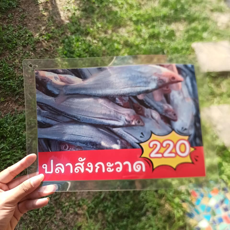 ป้ายเมนูสำเร็จรูป A4 - 7 แผ่น | ปลาช่อน, ปลาสลิด, ปลาดุก, ปลาลิ้นหมา, ปลาสังกะวาด, ปลานิล, ปลาสวาย | เมนูชัดเจน พร้อมใช้งาน