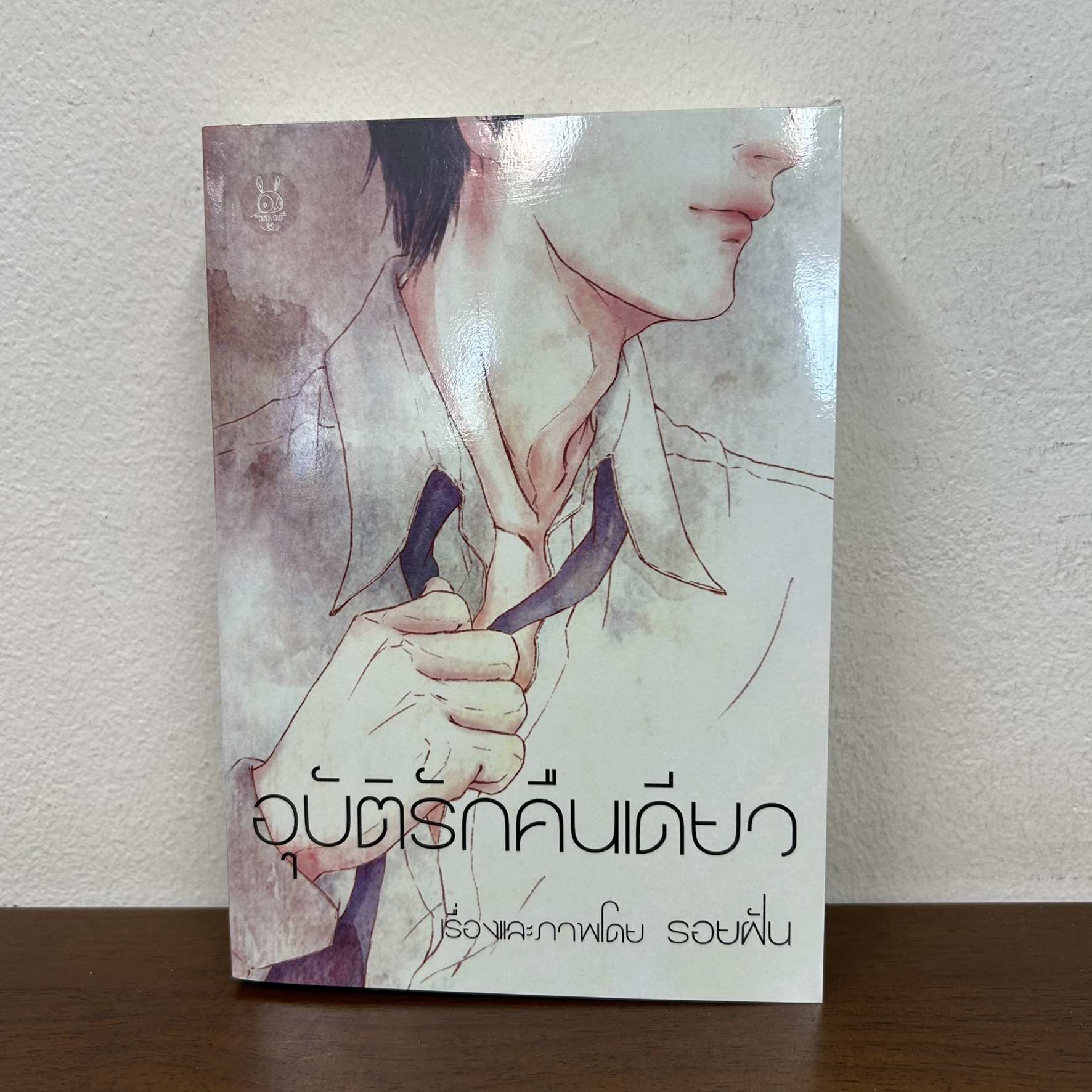 อุบัติรักคืนเดียว ... รอยฝัน (มือสอง) นิยาย โรแมนติก ทำมือ