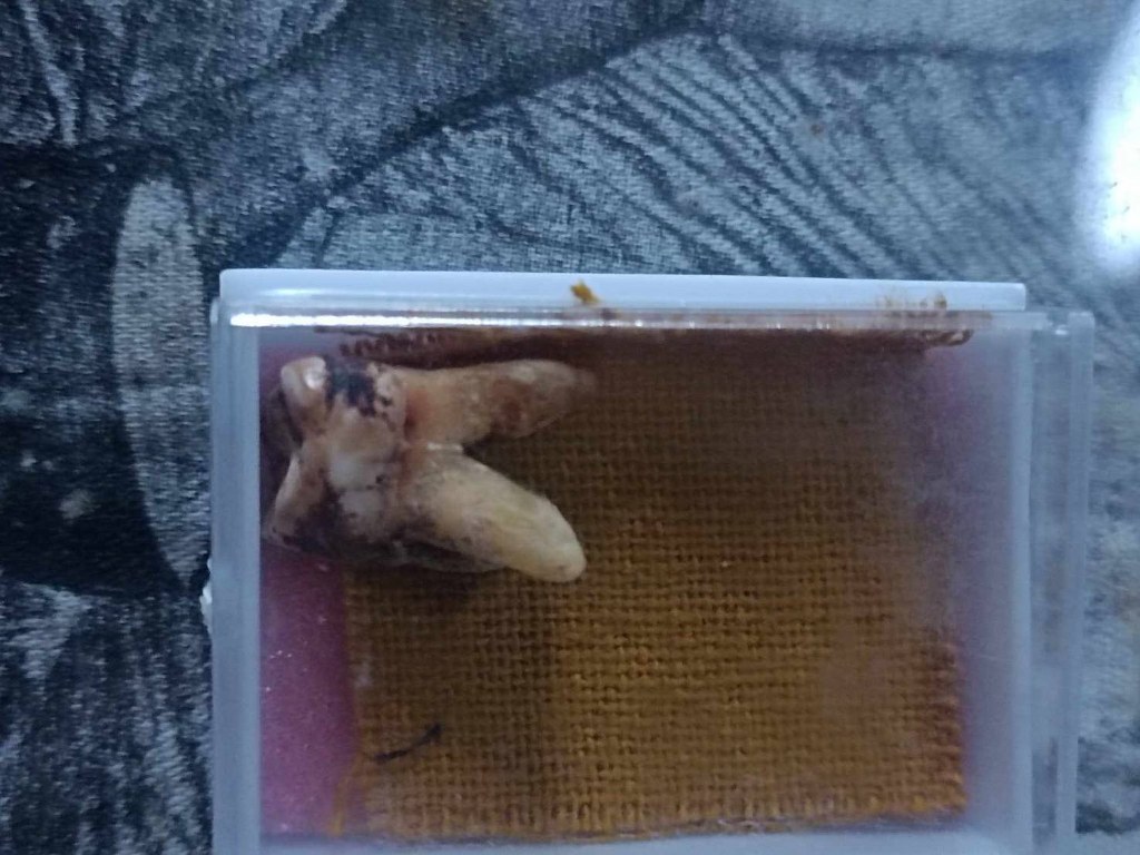 พระทันตธาตุ และผ้ายันต์เมตตา ค้าขายดี ครูบาจันต๊ะ วัดหนองช้างคืน จ.ลำพูน เจ้าของเดิมชื่อลุงวิทย์ เมื่อก่อนอาศัยอยู่ข้าง ๆ วัดหนองช้างคืน เป็นลูกศิษย์ยุคต้น ๆ รับใช้ครูบามา 6-7 ปี ระหว่างปี 2538 - 2545 ปัจจุบันอายุ 73 ปี