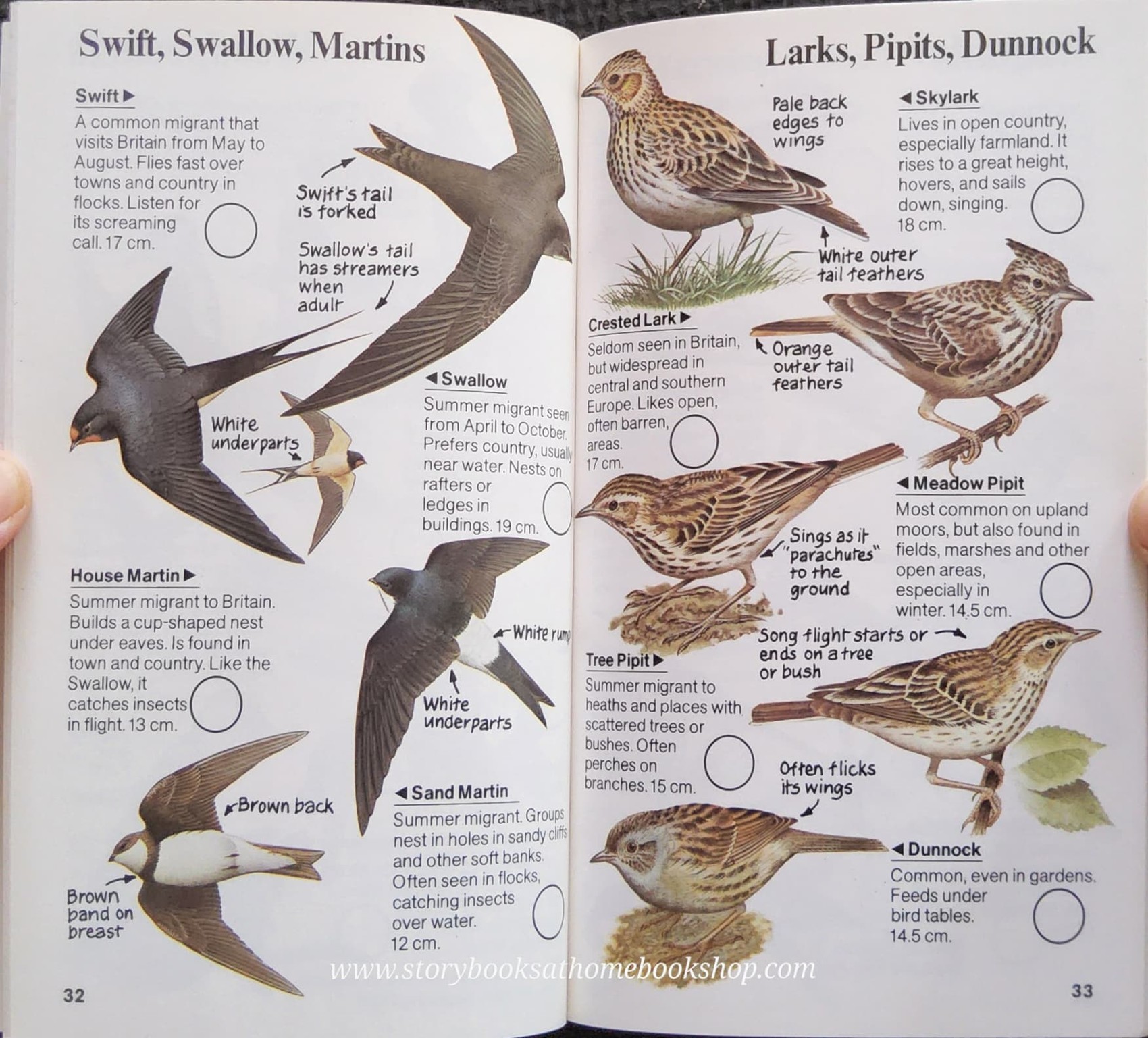 Knowledge Book** ð
ð
USBORNE SPOTTERS GUIDE: BIRDS