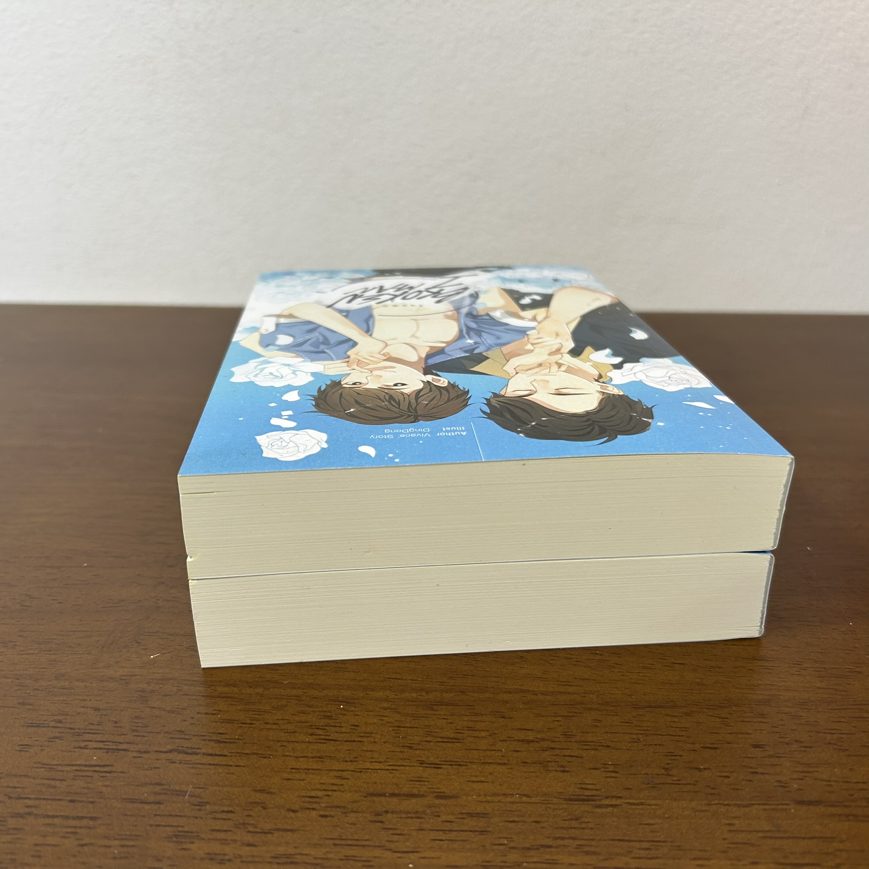 [YAOI] Broken Man 'ใจแตก' เล่ม 1-2 จบ ... Vivace's Story (มือสอง) นิยายวาย