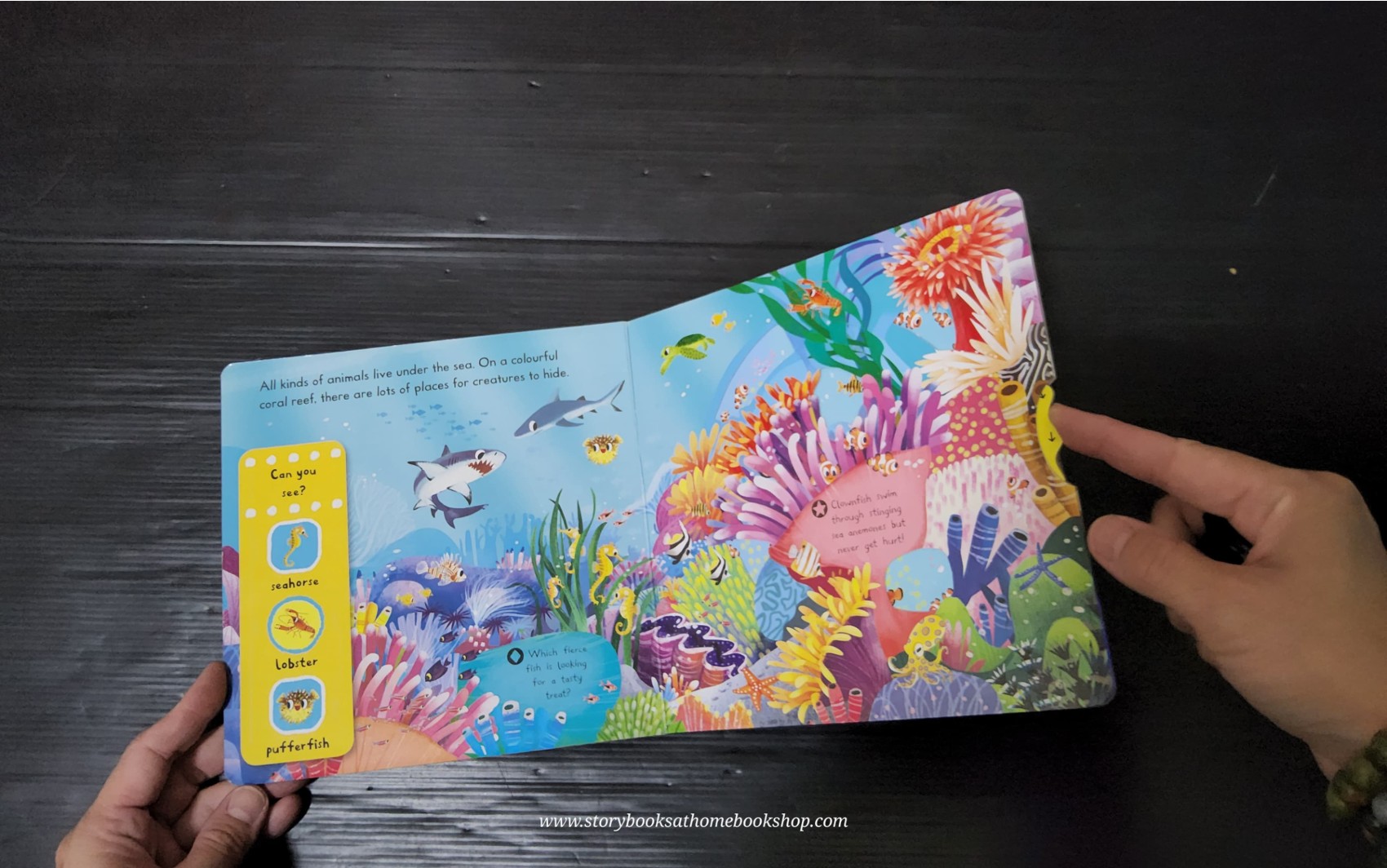 PUSH PULL SLIDE Board Book** 🍅🍓FIRST EXPLORERS SEA CREATURES