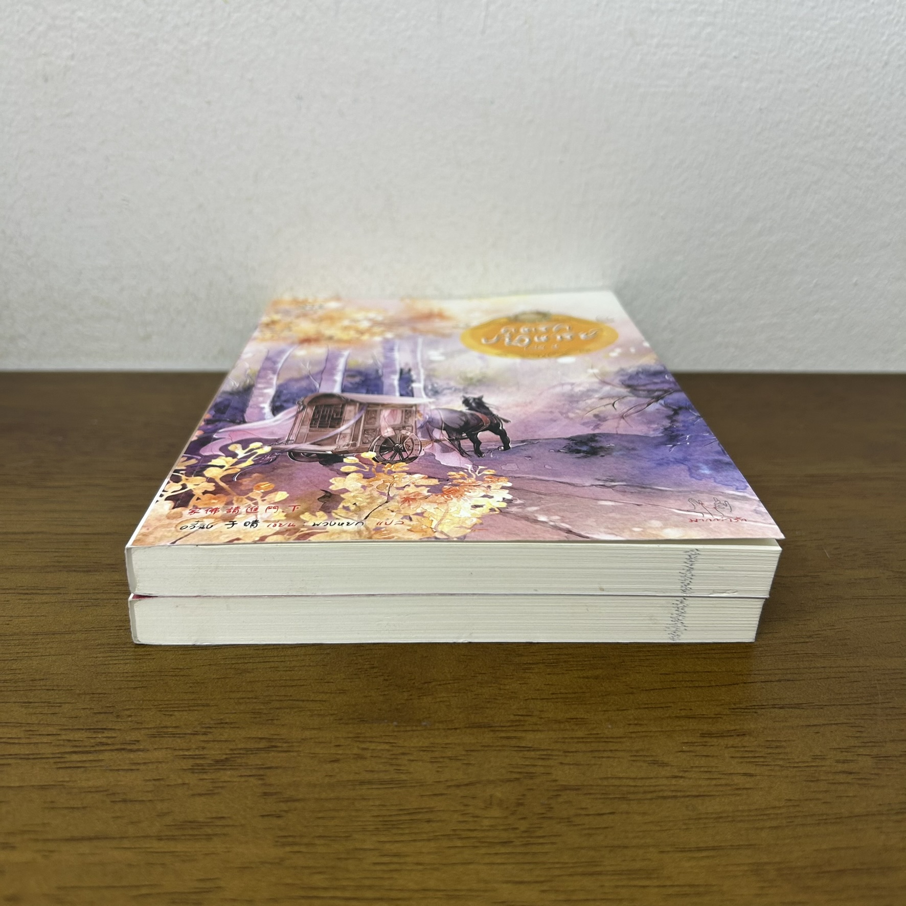 ภูตรักปาฏิหาริย์ เล่ม 1-2 จบ ครบชุด ... อวี๋ฉิง (มือสอง) นิยาย แปลจีน แจ่มใส