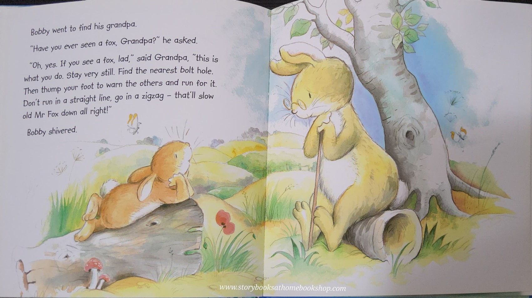 หนังสือนิทานปกแข็ง** 🍅🍅 BOBBY KNOWS BEST