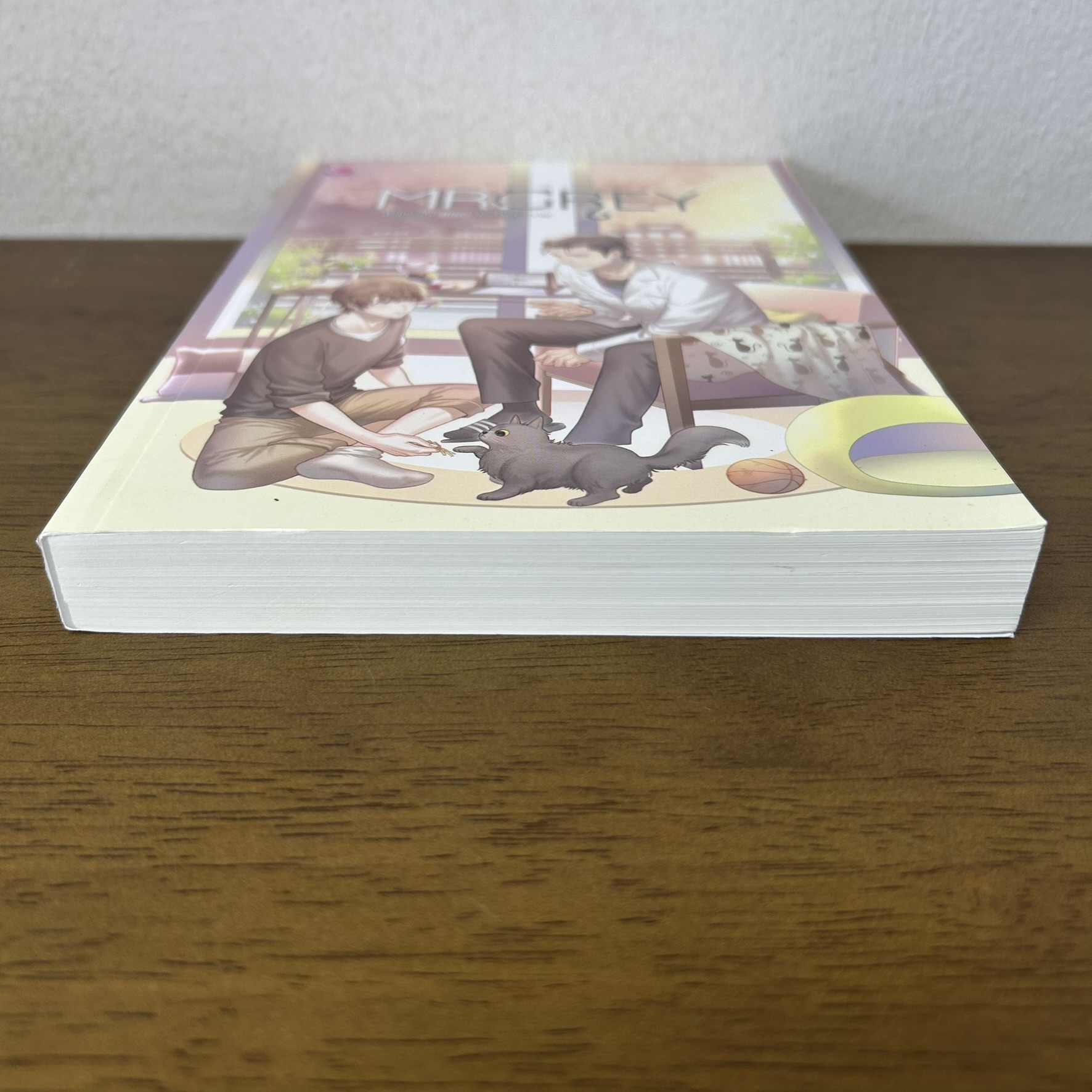 [YAOI] MR. GREY ... Raccool (มือสอง) นิยายวาย everY