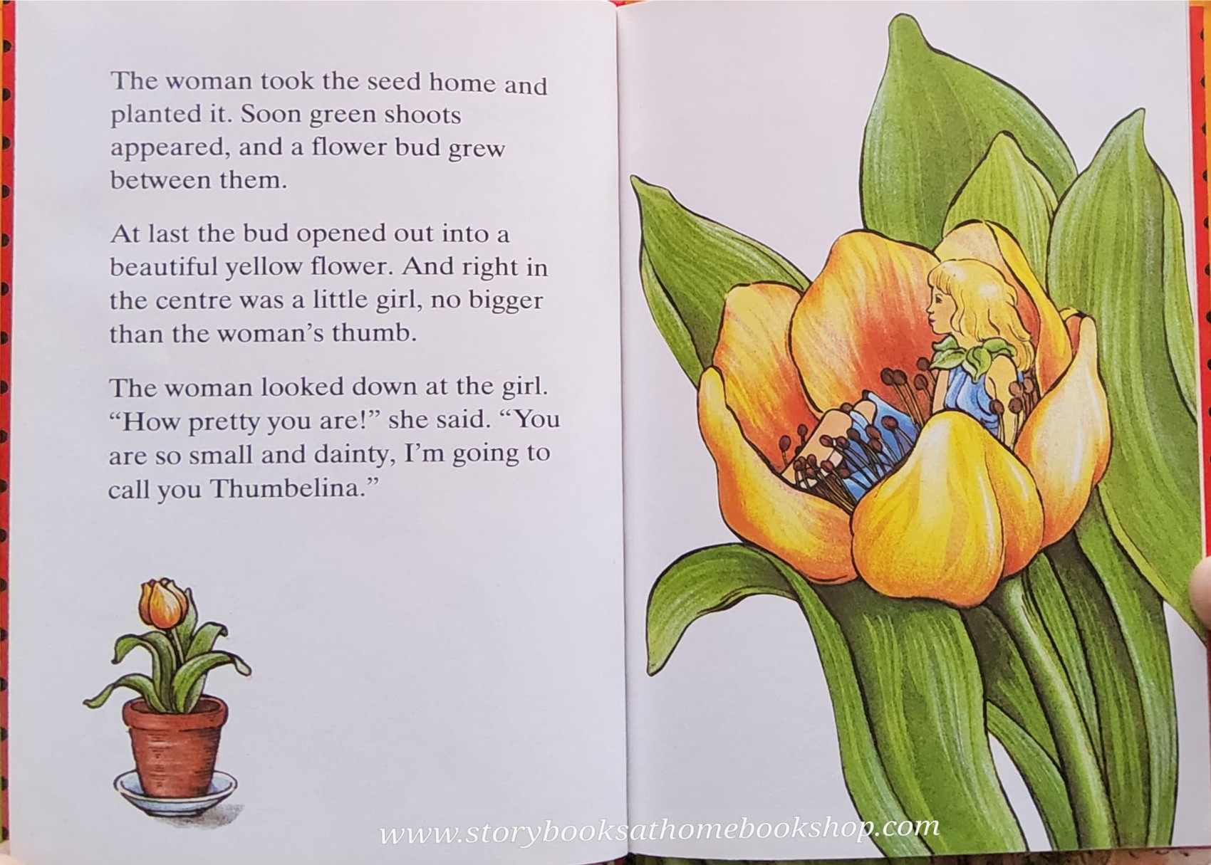 หนังสือนิทานปกแข็ง ** ♥️♥️FAVOURITE TALES THUMBELINA