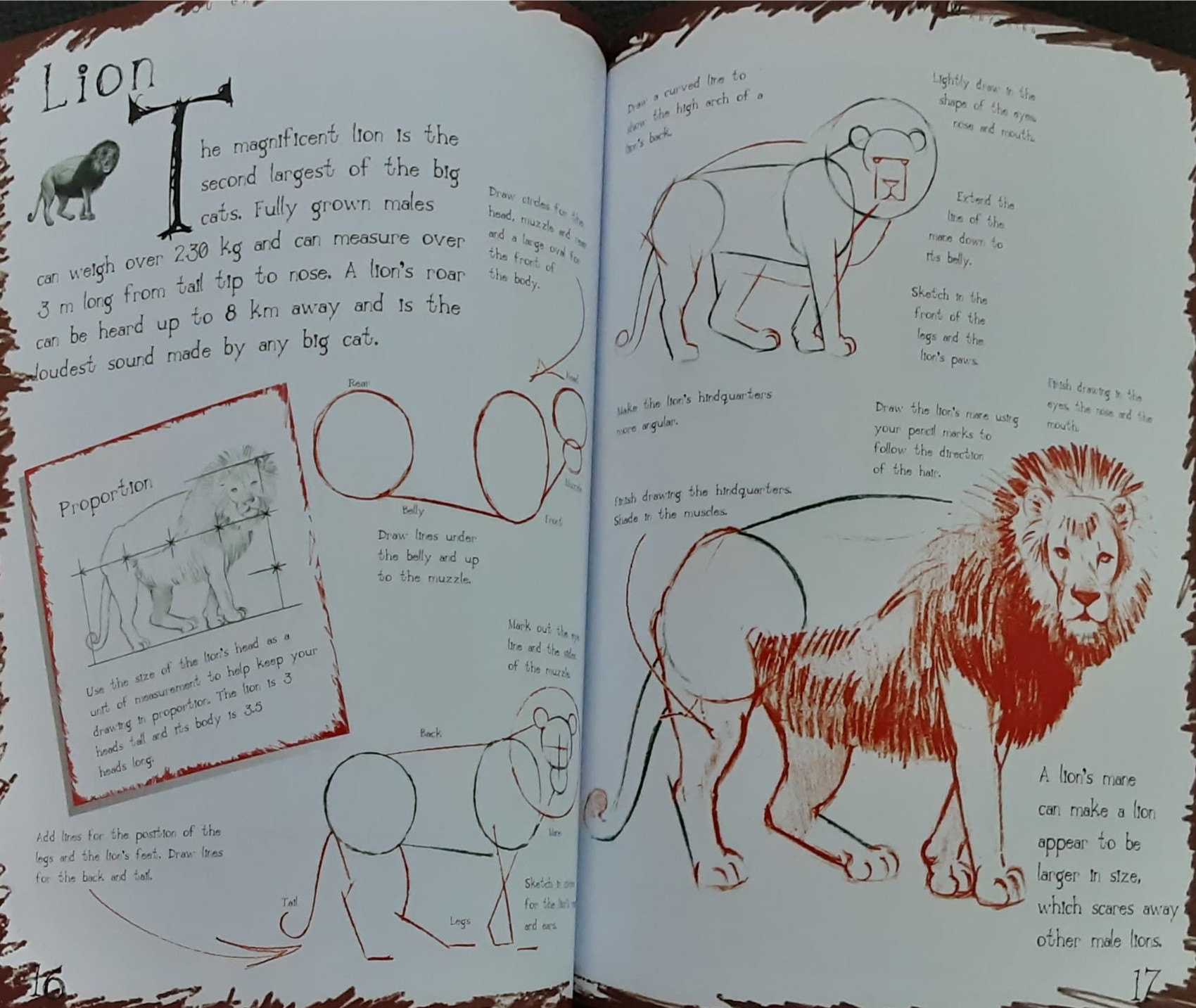 DRAWING BOOK** ð
ðHOW TO DRAW BIG CATS