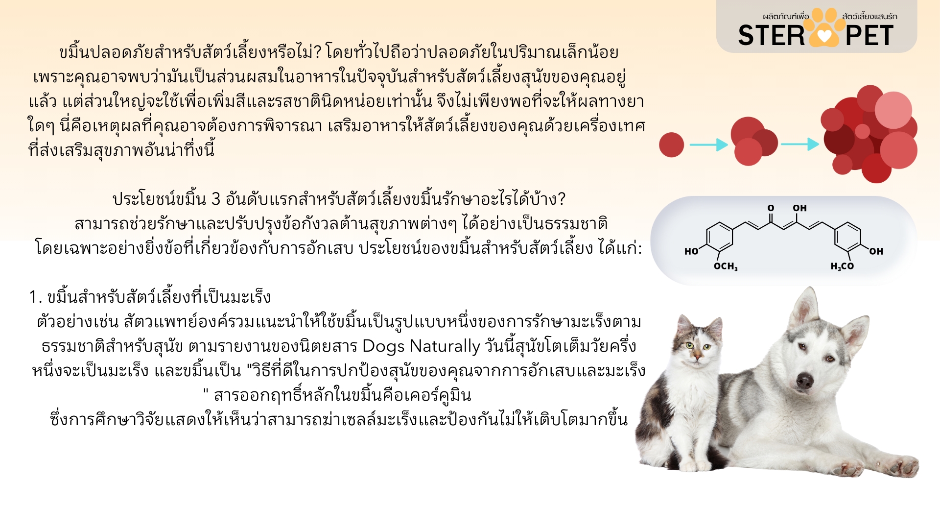 เซตแนะนำ (ชุด 1 เดือน) สเตอร์ เพ็ท Ster Pet เนื้องอกหมาแมว ก้อนเนื้อหมาแมว มะเร็งสุนัขแมว ลดอักเสบ ลดขนาดก้อนเนื้อ ซึม ไม่ร่าเริง เบื่ออาหาร น้ำหนักลด ไตวายหมาแมว แผลยุบเร็ว ( 30 แคปซูล)
