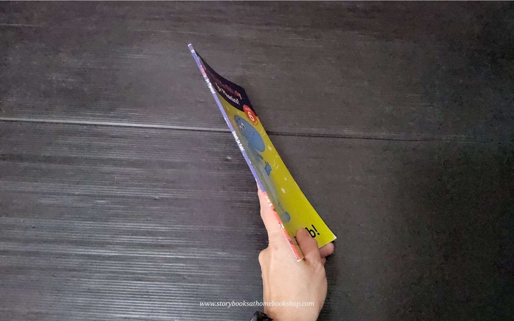 หนังสือนิทานปกอ่อน** 🍅🍓LADYBIRD I'M READY... FOR PHONICS:DASH IS FAB