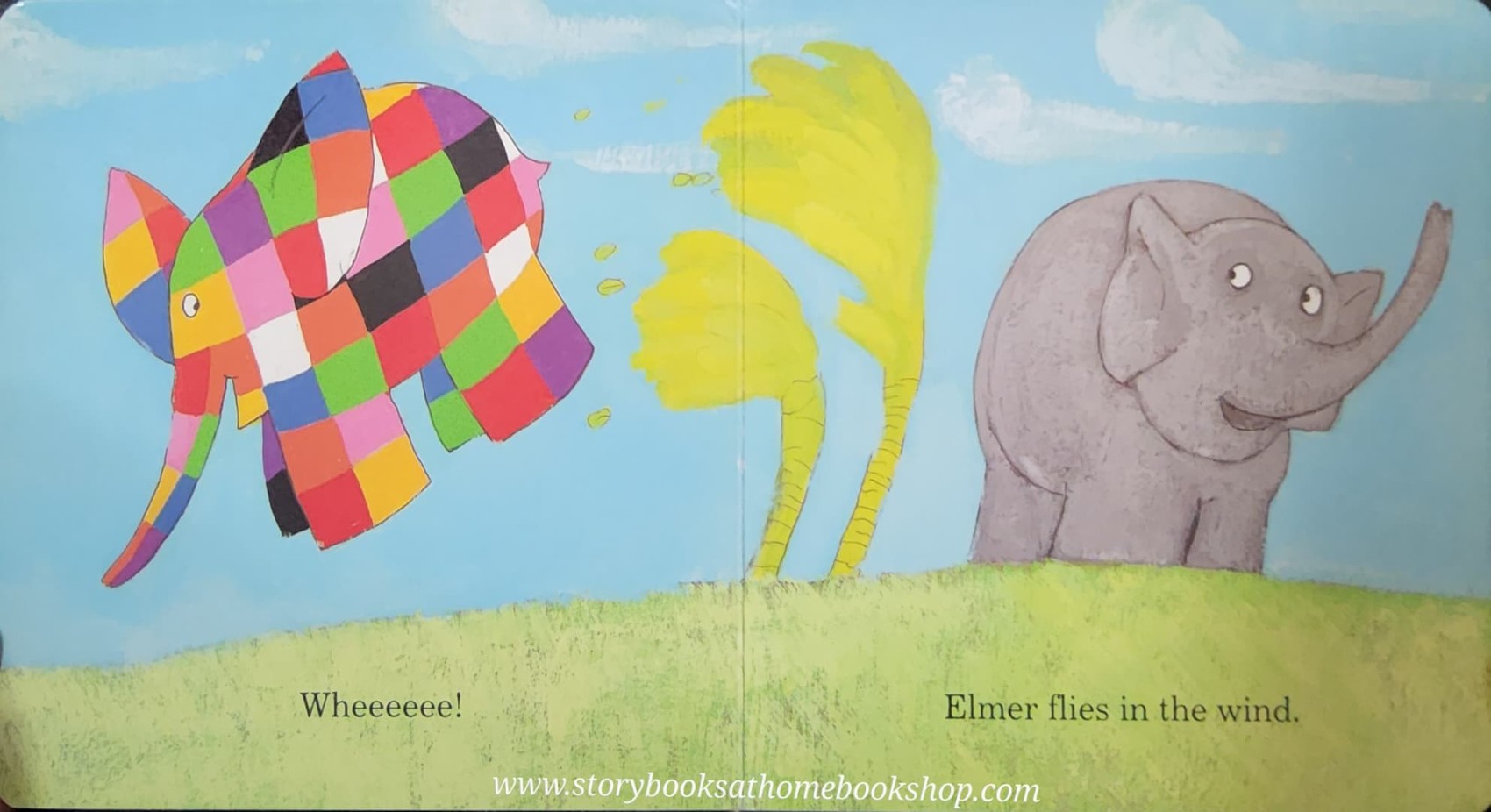 BOARD BOOK** 🍅🍓ELMER'S WEATHER BY DAVID MCKEE