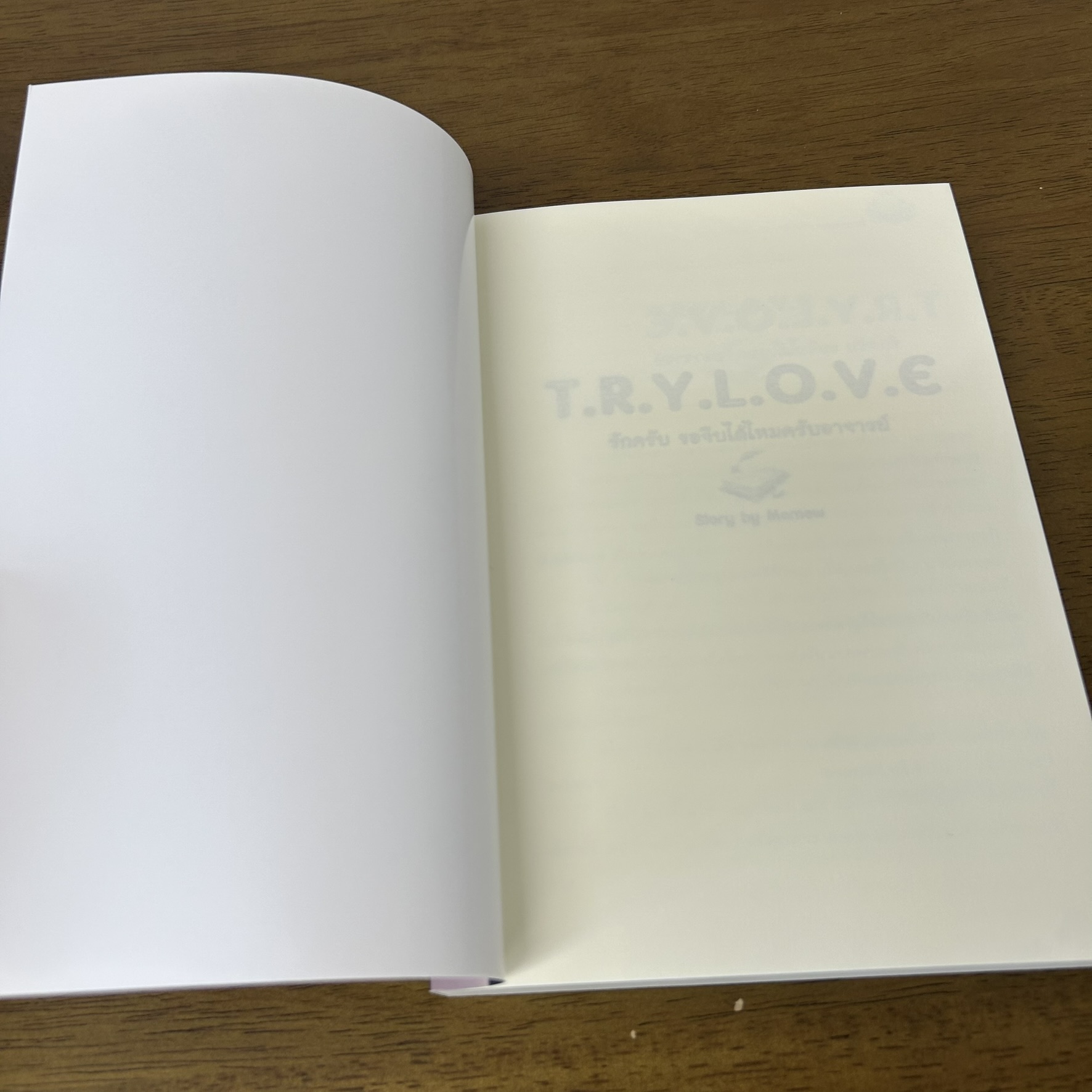 [YAOI] Try Love รักครับ ขอจีบได้ไหมครับอาจารย์ ... Memew (มือสอง) นิยายวาย