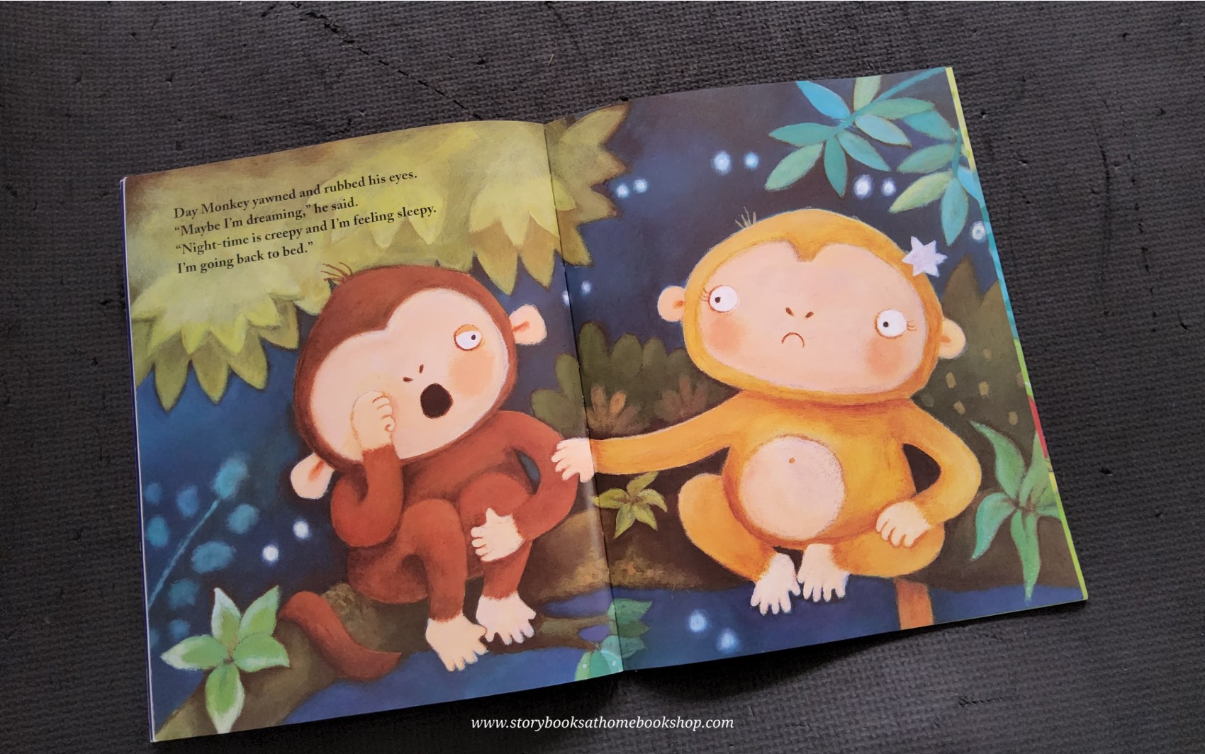 หนังสือนิทานปกอ่อน ** 🍅🍓NIGHT MONKEY DAY MONKEY BY JULIA DONALDSON