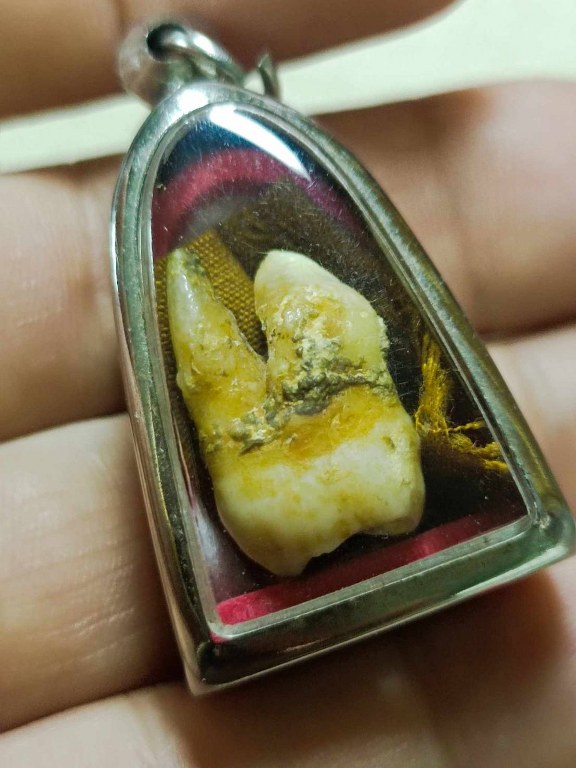 พระทันตธาตุครูบาศรีวัย วัดหนองเงือก อ.ป่าซาง จ.ลำพูน ครูบาศรีวัย ท่านมรณะภาพเมื่อปี 2556 ได้มาจากสล่าบอย อายุ 50 ปี เป็นหลานพ่อหนานแดง พ่อหนานแดงเคยรับใช้ครุบาศรีวัย พ่อหนานแดงเสียชีวิตแล้วเมื่อปี 2549 หากยังมีชีวิตอยู่ถึงปัจจุบัก็จะมีอายุ 95 ปี