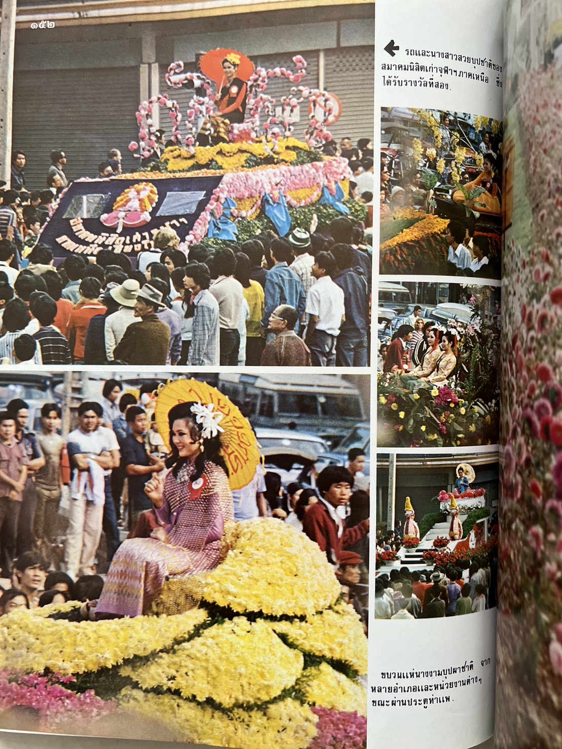 ธรรมชาติศึกษา : ฉบับแนะนำไม้ใบ-ไม้ประดับของไทยและเทศ (ชุดที่ 1 เล่มที่ 2 ลำดับที่ 2 ปี 2521).