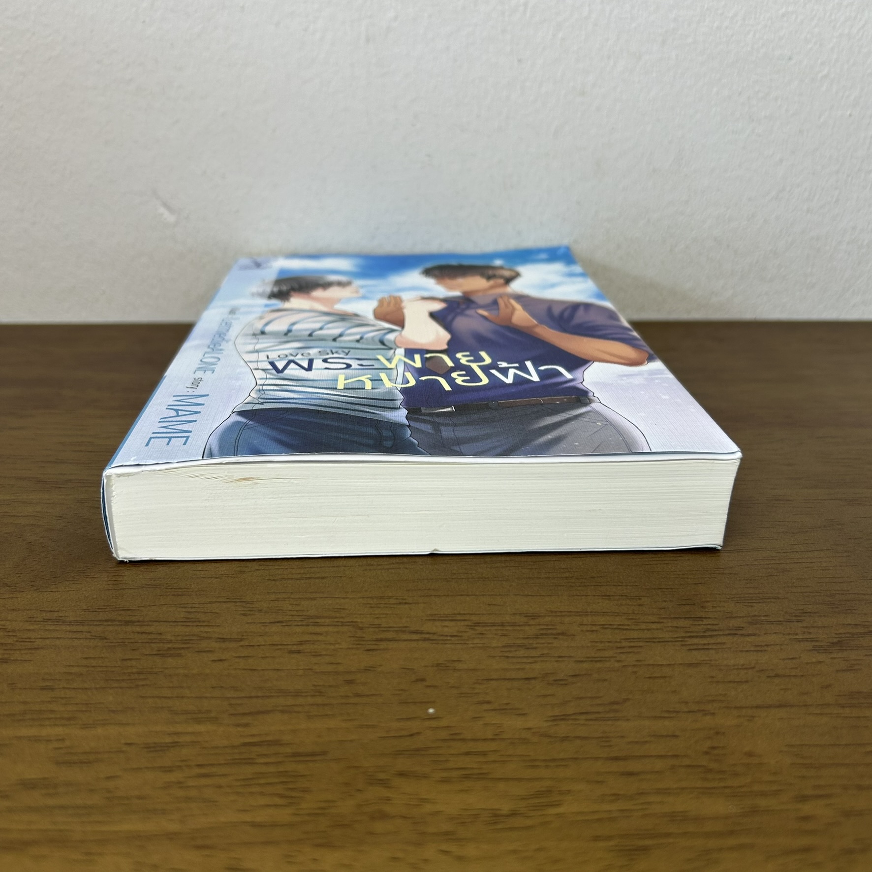 [YAOI] LOVE SKY พระพายหมายฟ้า ... MAME (มือสอง) นิยายวาย DEEP