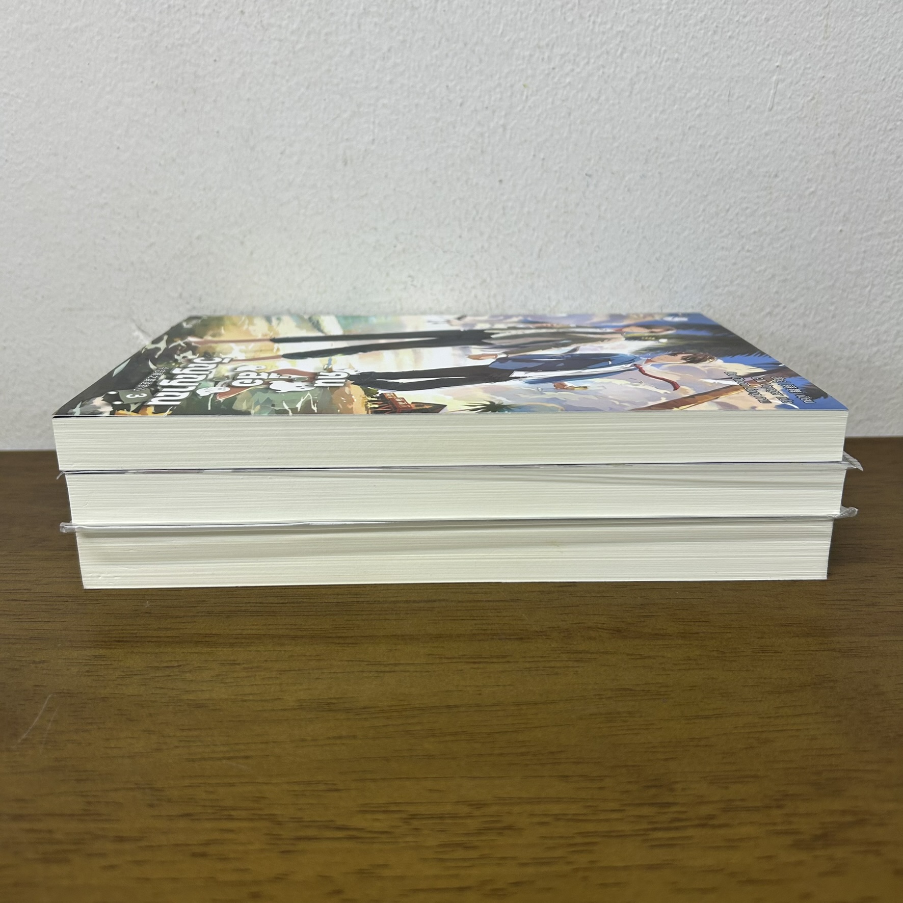 [YAOI] คน สื่อ วิญญาณ เล่ม 1-3 จบ ครบชุด ... สืออู่ Shi Wu (มือสอง) นิยายวาย วายแปล everY