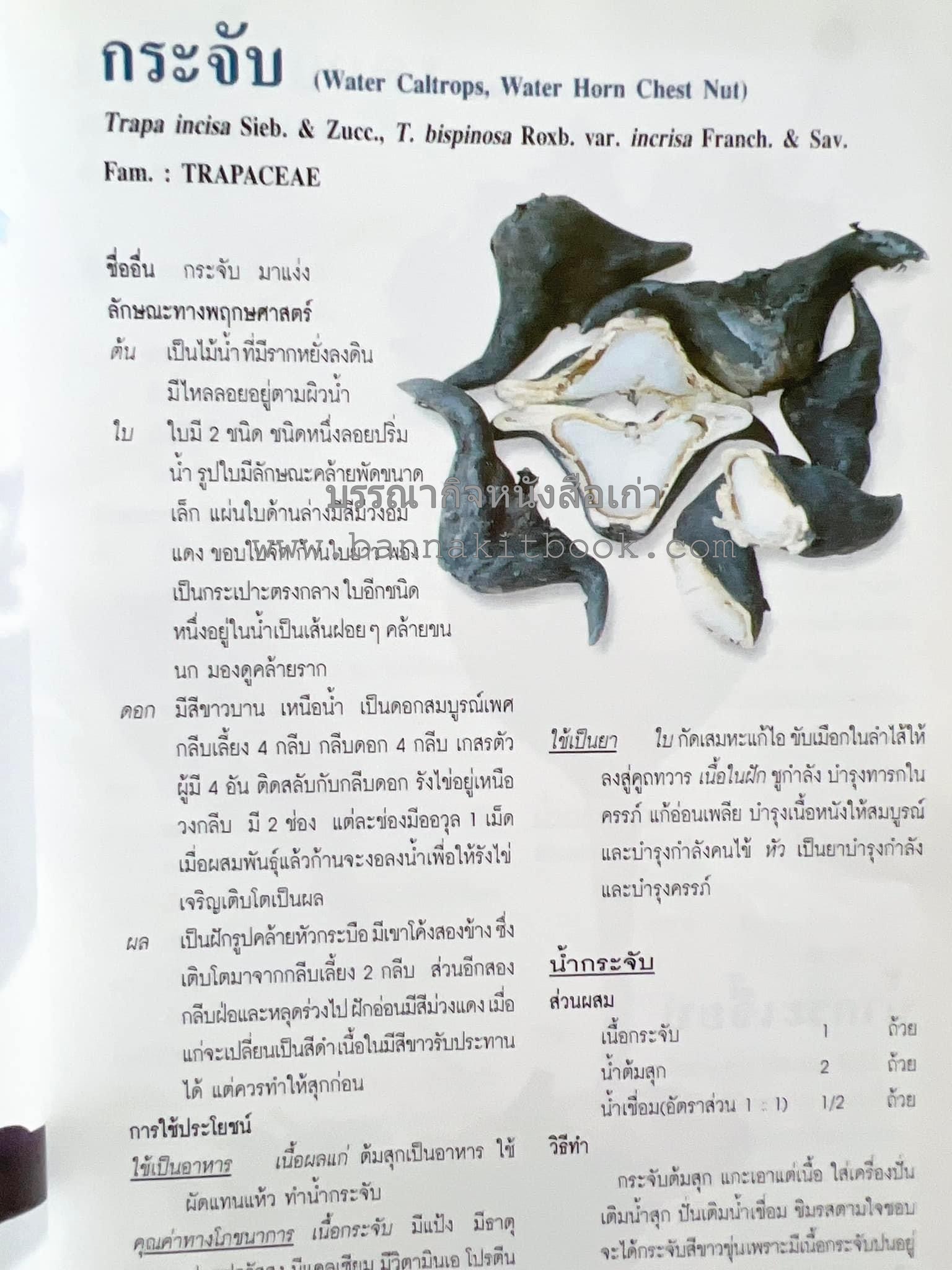 น้ำสมุนไพร 108 สูตร-วิธีทำจากผักพื้นบ้านและผลไม้ไทย โดย สถาบันการแพทย์แผนไทย.