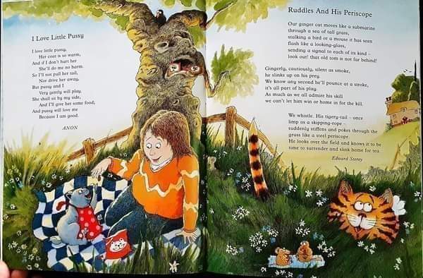 หนังสือนิทานเด็ก ภาษาอังกฤษ ปกอ่อน 🍅🍓THE HAIRY HAMSTER HUNT AND OTHER PRT POEM/Used สภาพ 80-90%