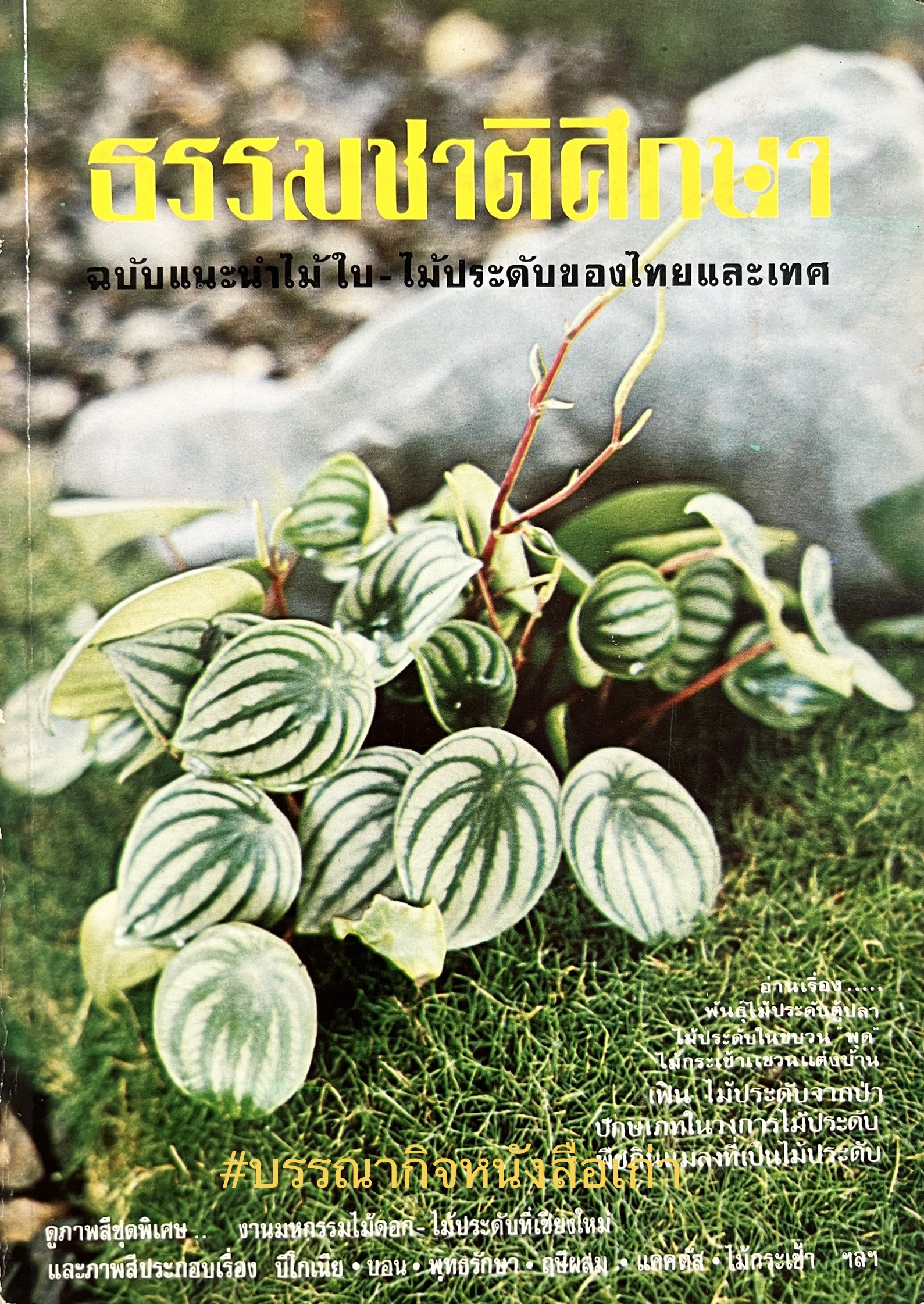 ธรรมชาติศึกษา : ฉบับแนะนำไม้ใบ-ไม้ประดับของไทยและเทศ (ชุดที่ 1 เล่มที่ 2 ลำดับที่ 2 ปี 2521).